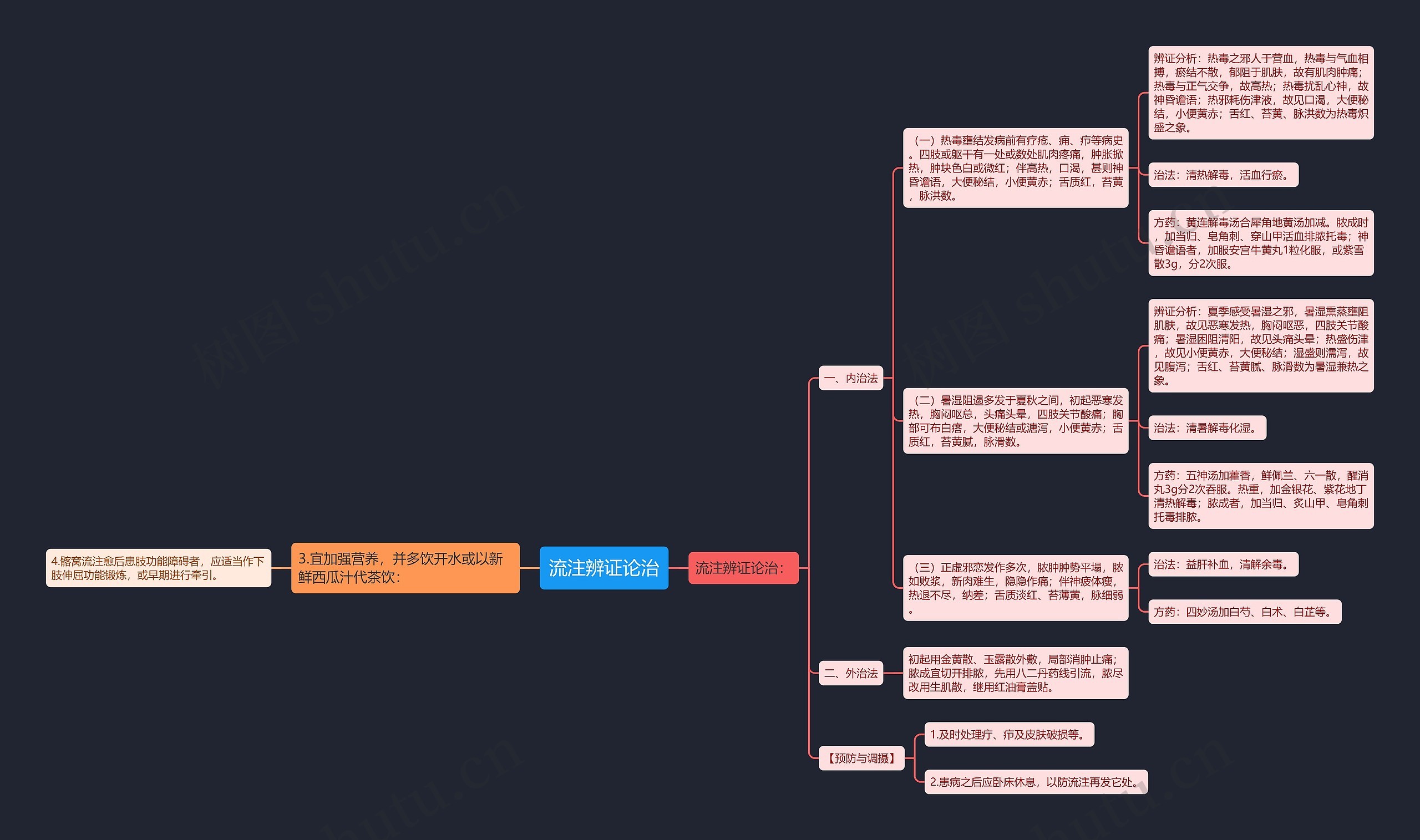 流注辨证论治思维导图