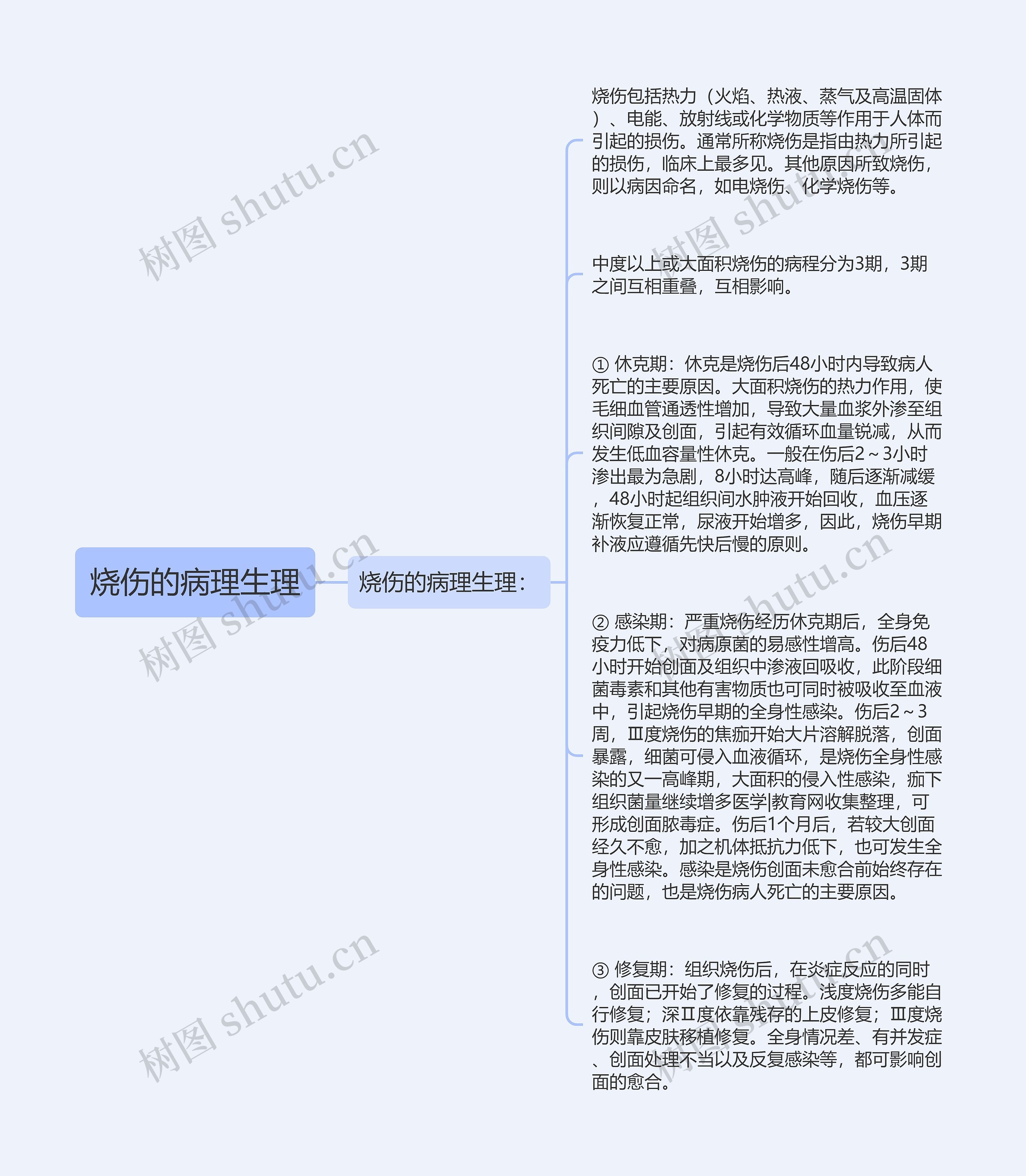 烧伤的病理生理思维导图