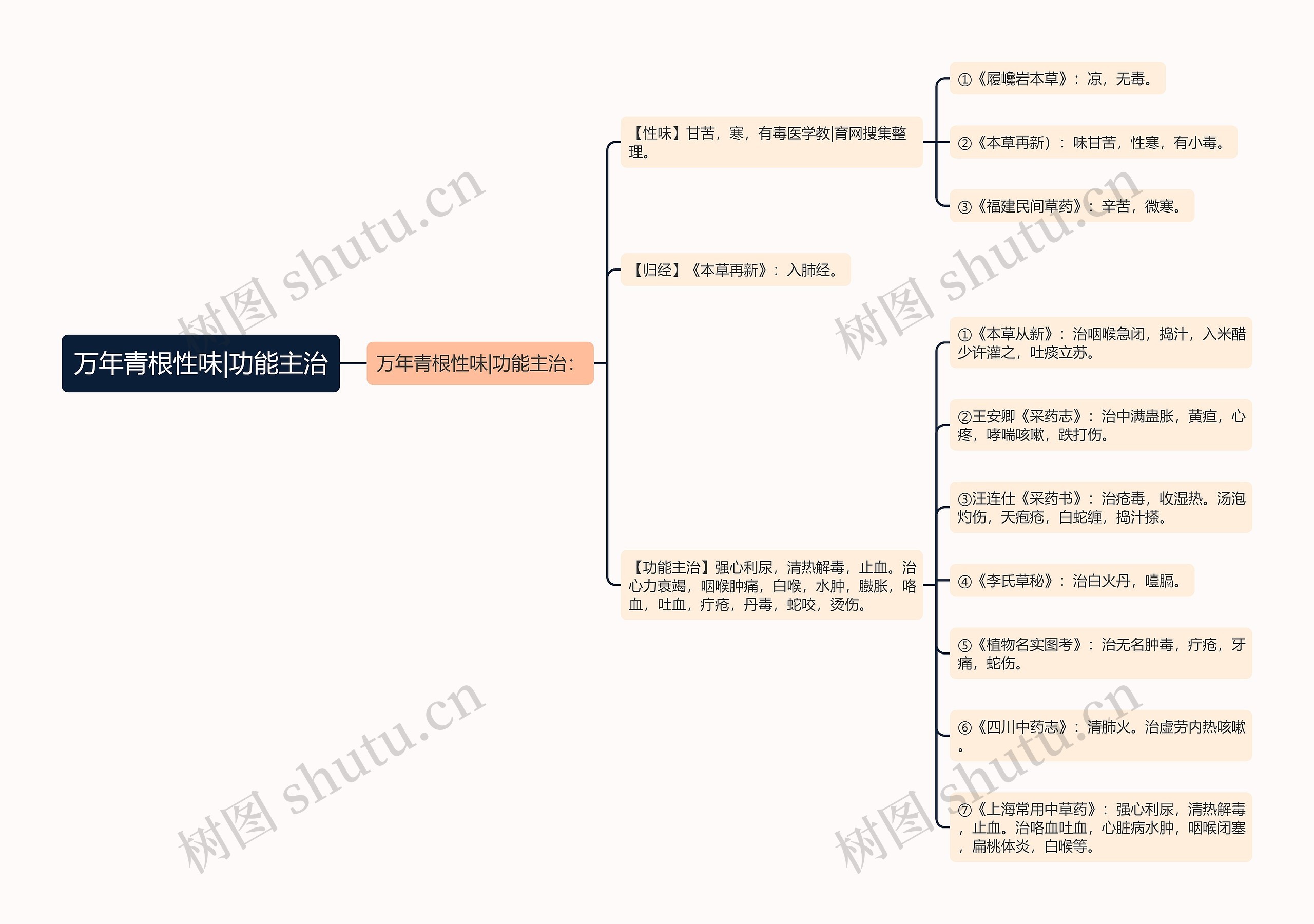 万年青根性味|功能主治思维导图