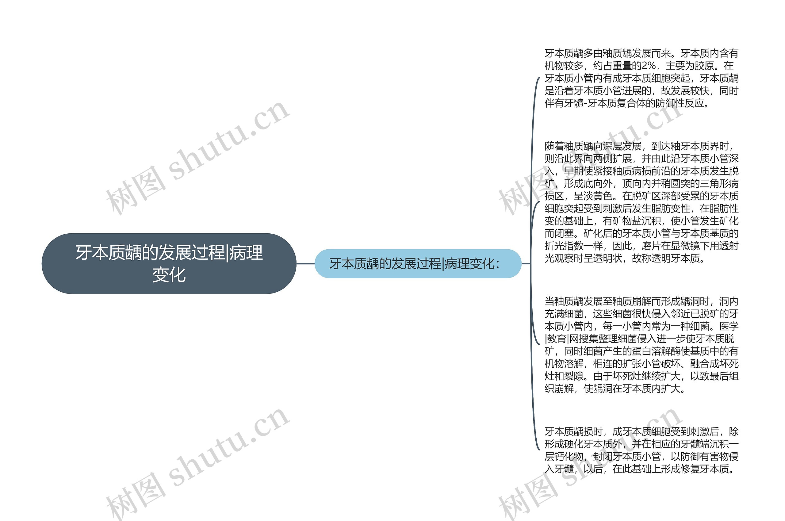 牙本质龋的发展过程|病理变化思维导图