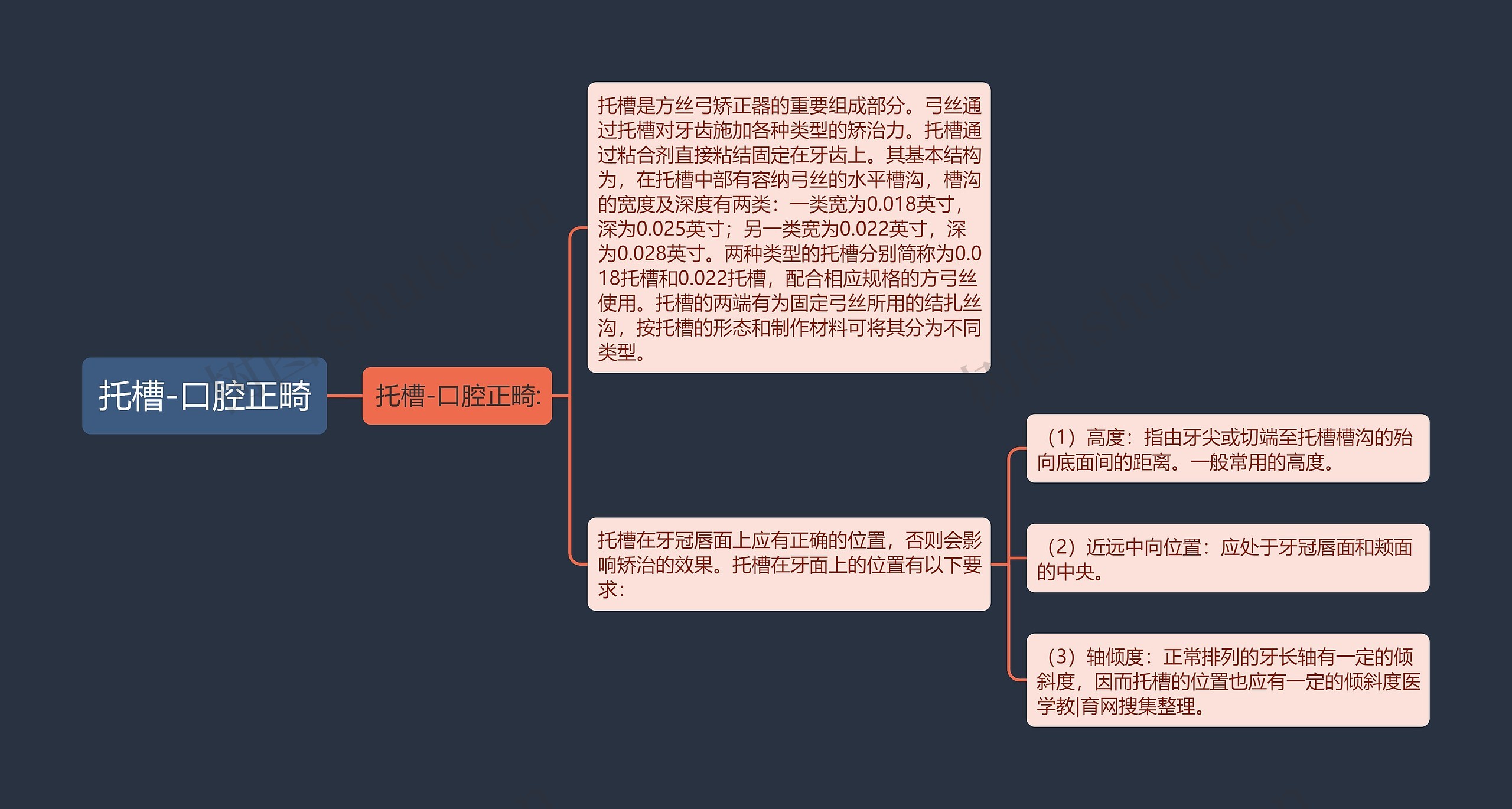 托槽-口腔正畸思维导图