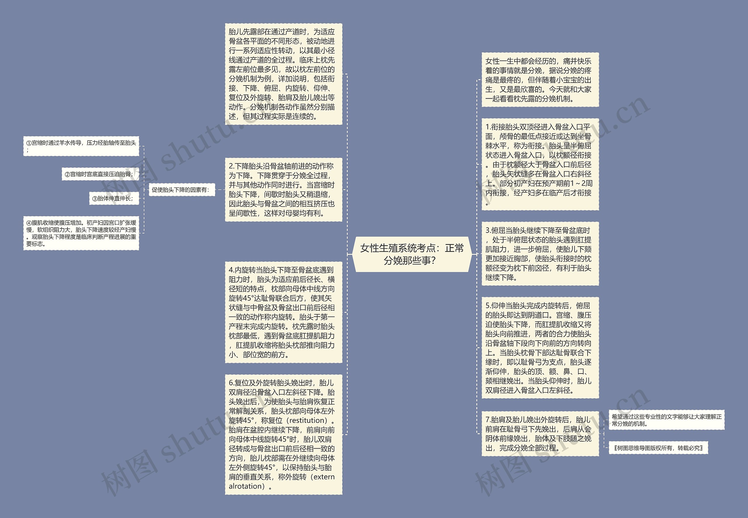 女性生殖系统考点：正常分娩那些事？思维导图