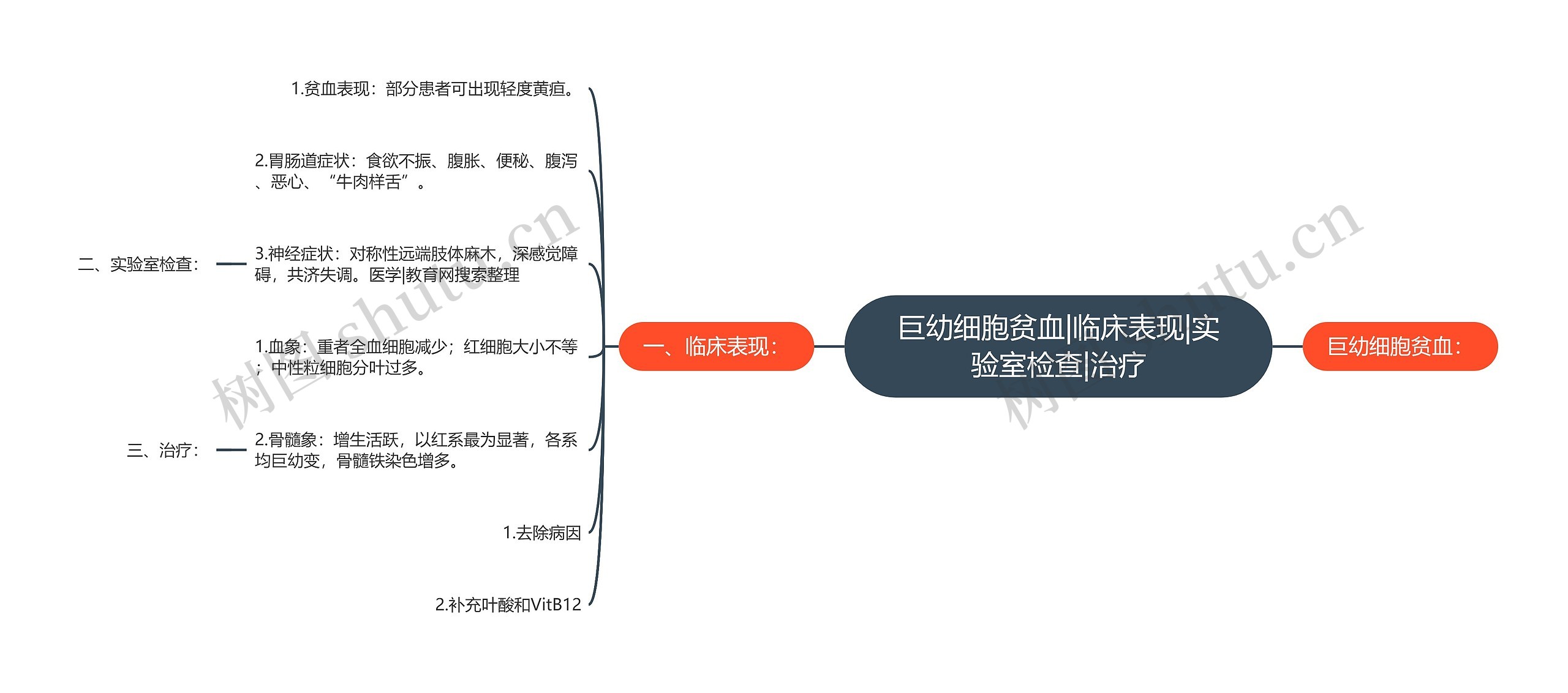 巨幼细胞贫血|临床表现|实验室检查|治疗思维导图