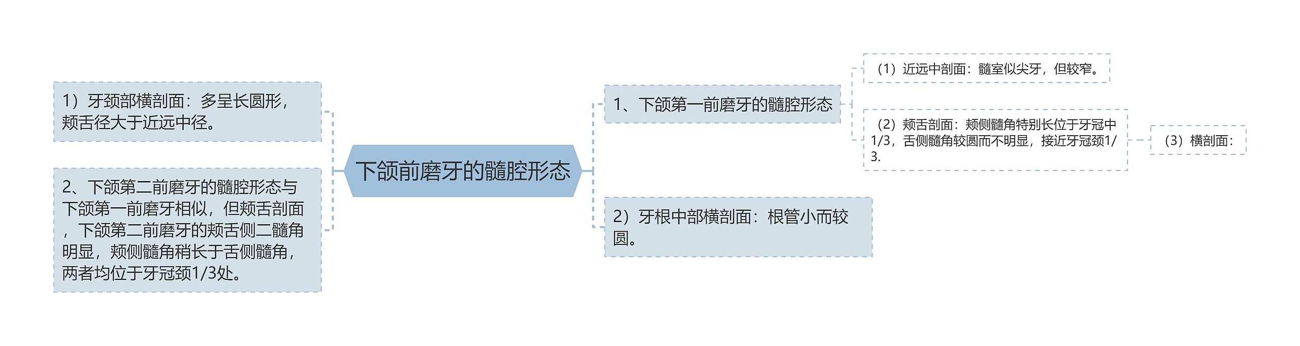 下颌前磨牙的髓腔形态思维导图