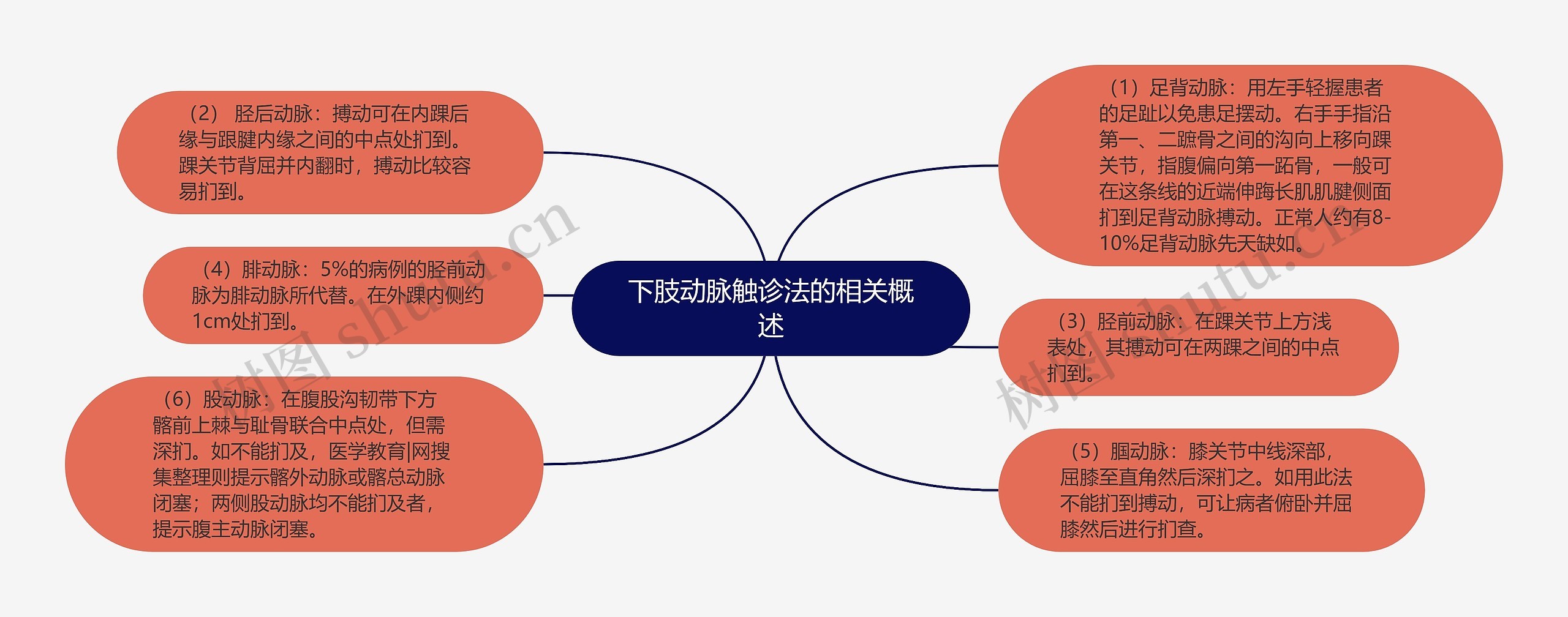 下肢动脉触诊法的相关概述思维导图