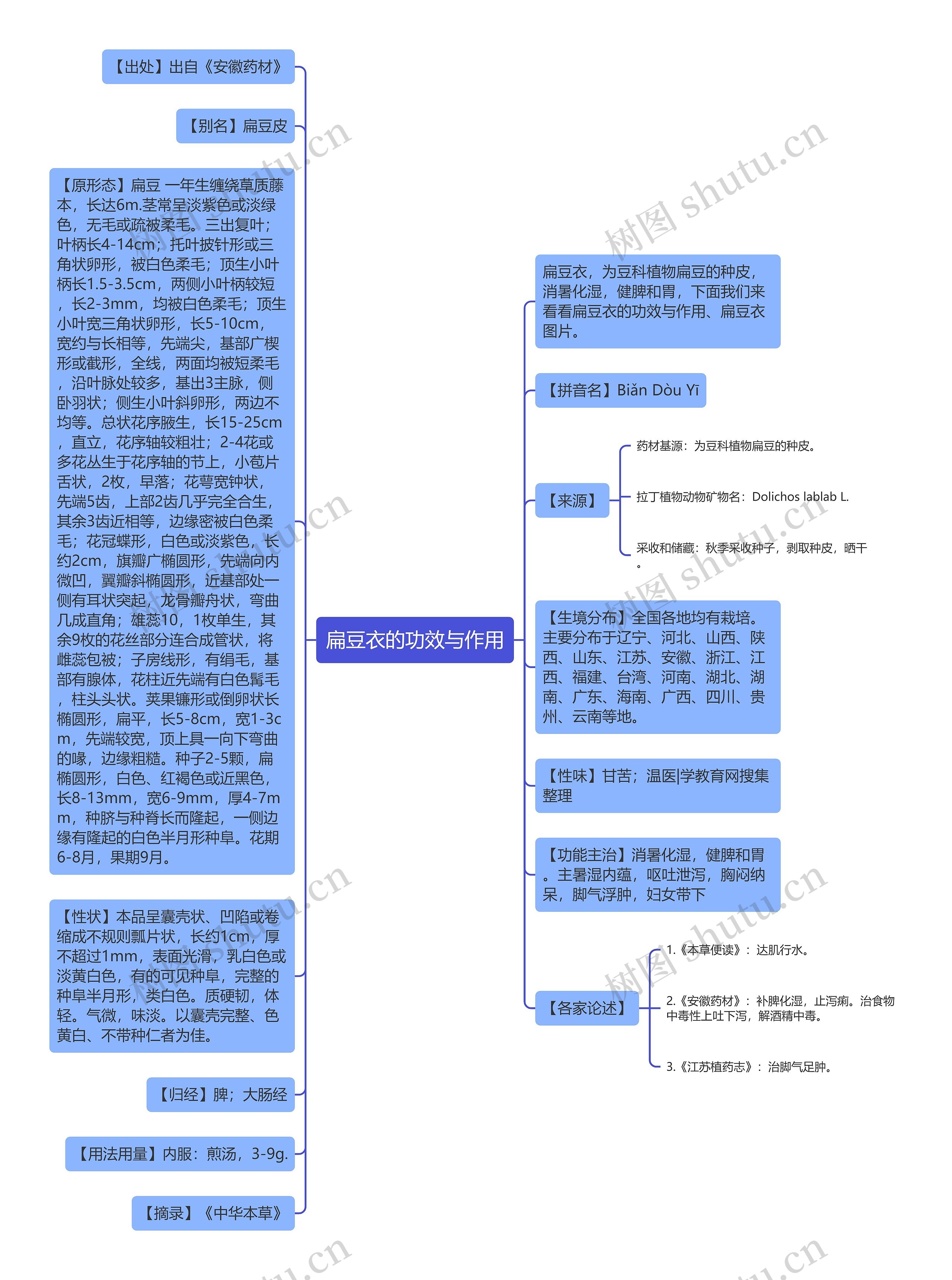 扁豆衣的功效与作用思维导图