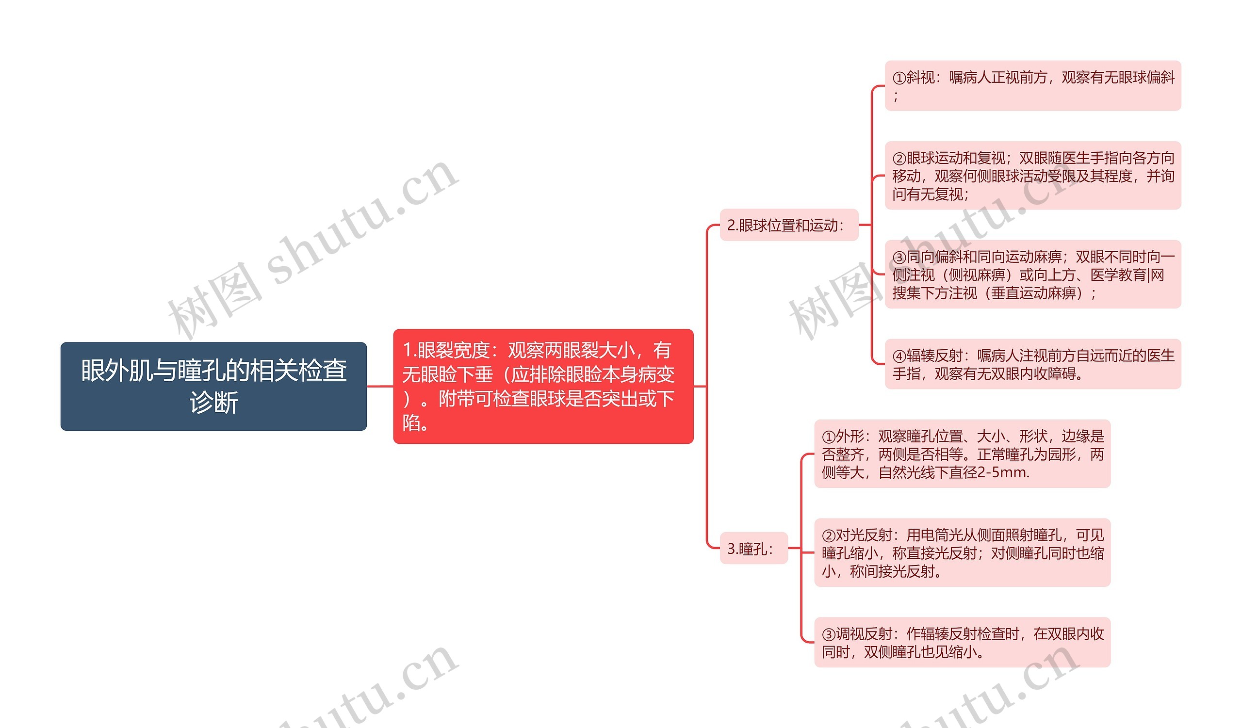 眼外肌与瞳孔的相关检查诊断思维导图