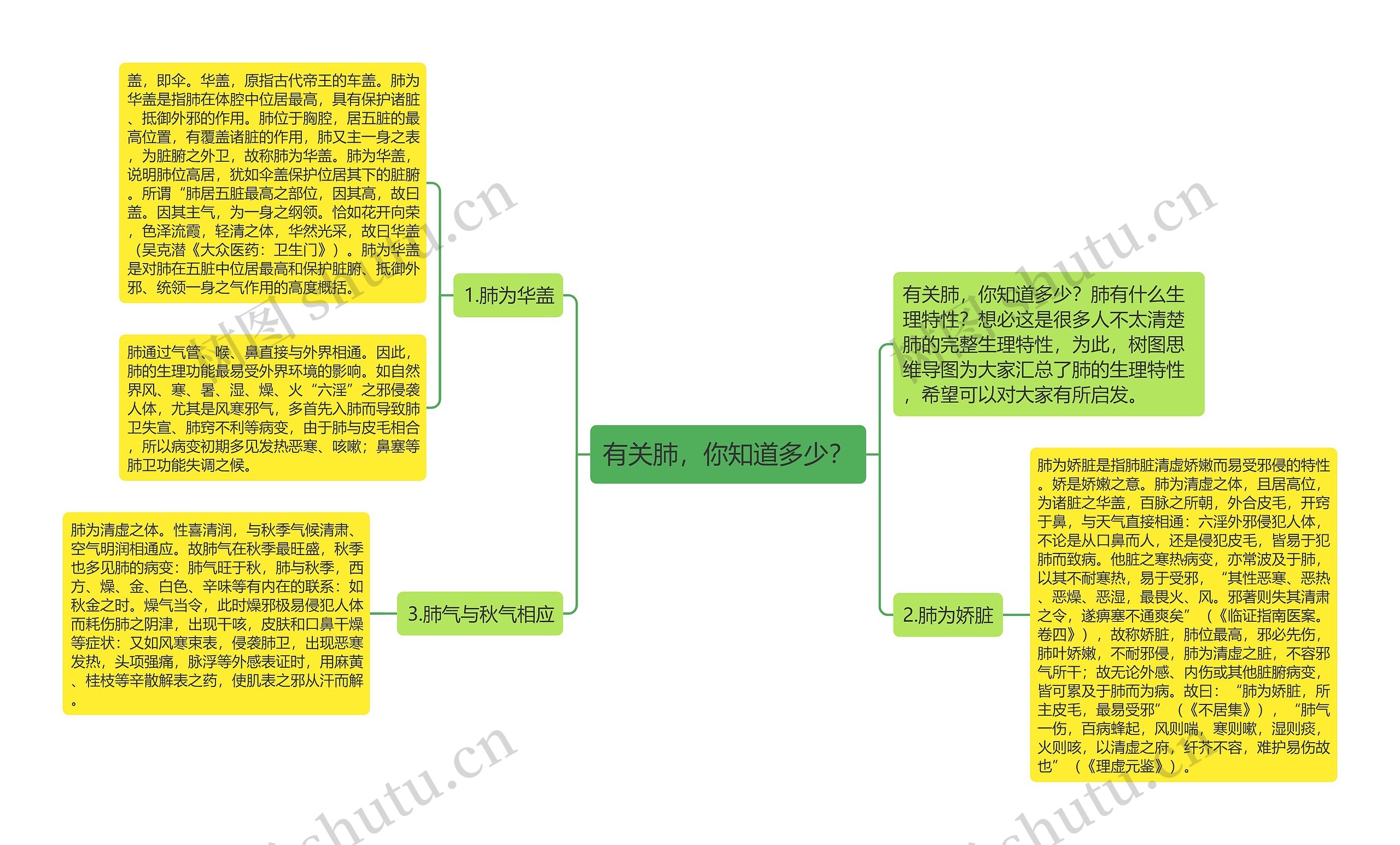 有关肺，你知道多少？