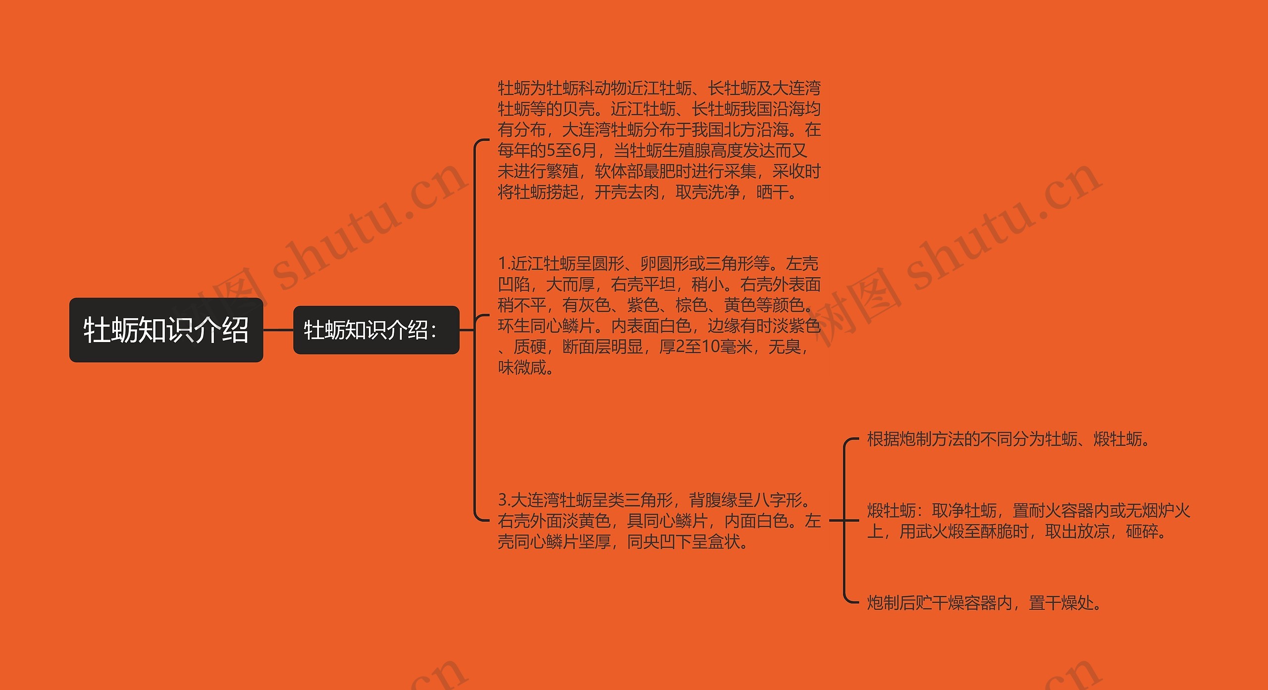 牡蛎知识介绍思维导图