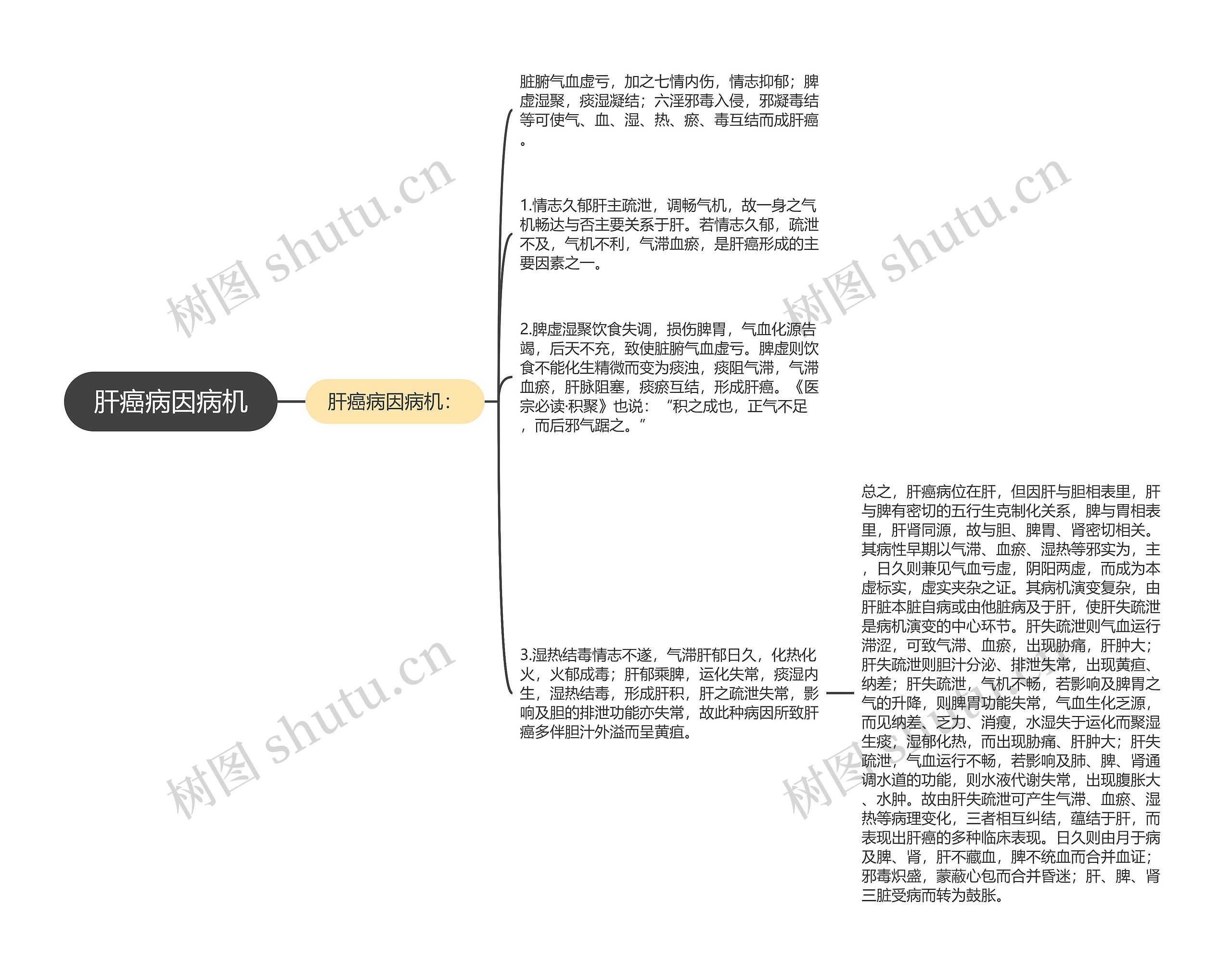 肝癌病因病机思维导图