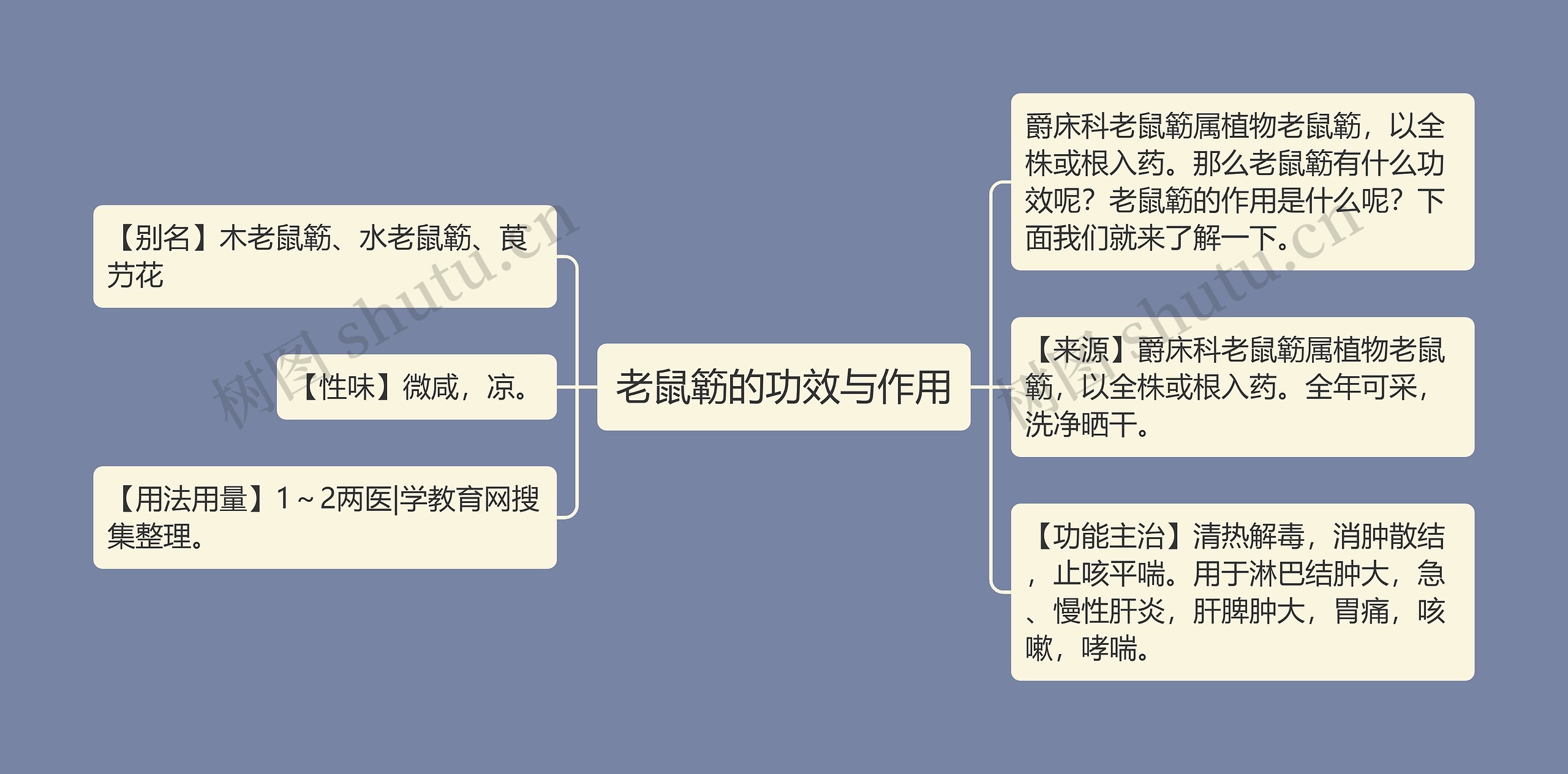 老鼠簕的功效与作用思维导图