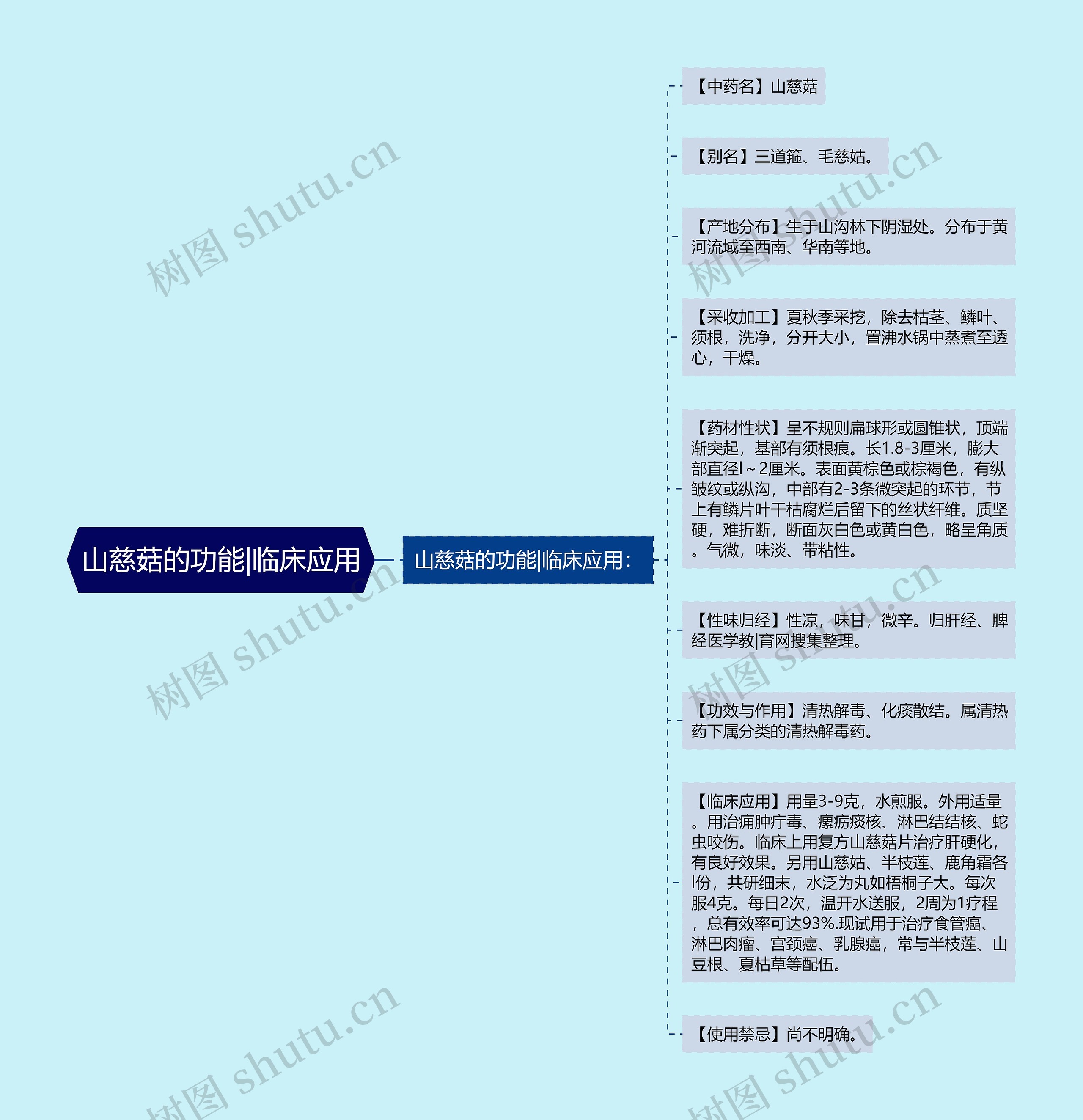 山慈菇的功能|临床应用思维导图