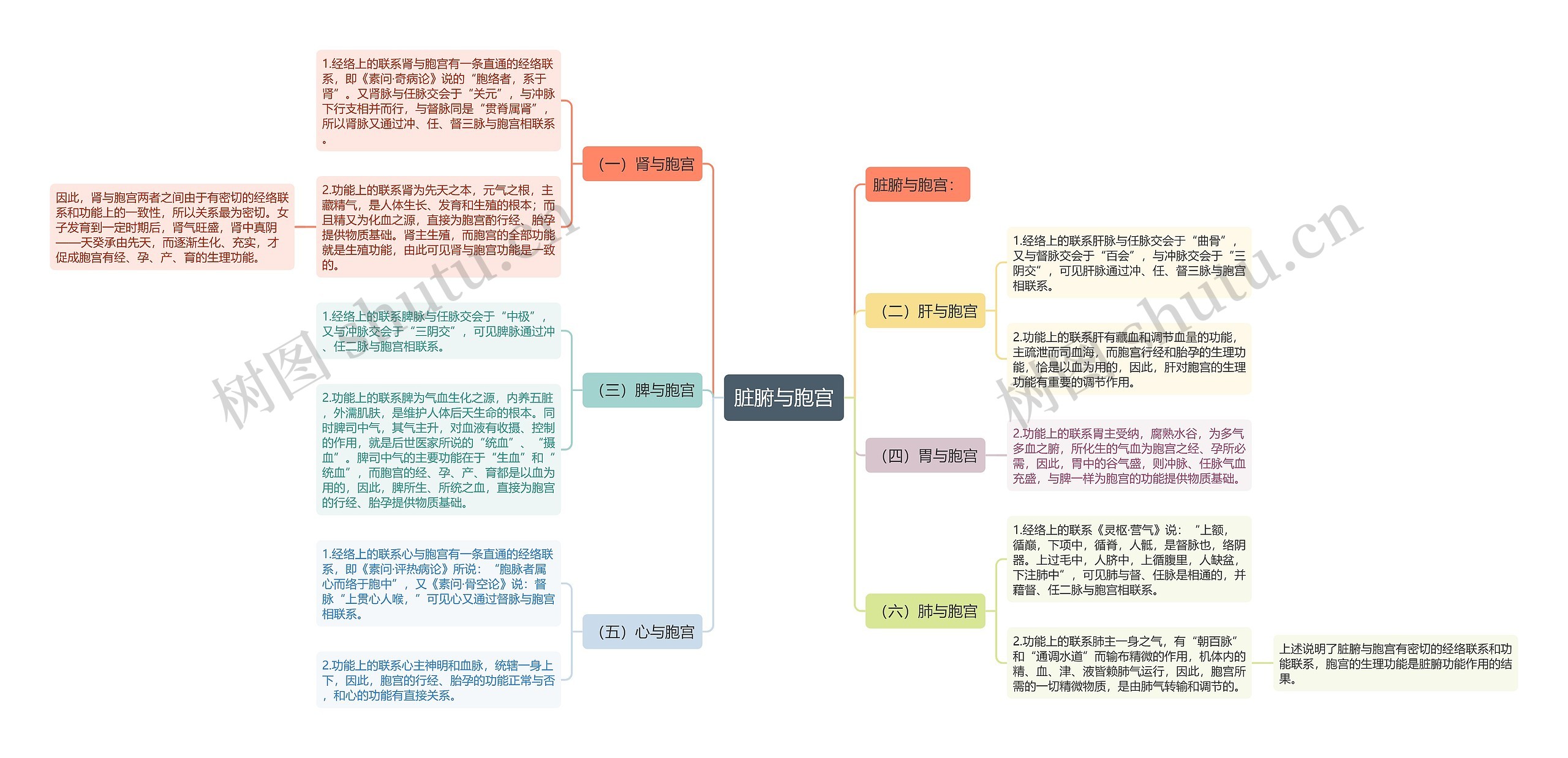 脏腑与胞宫思维导图