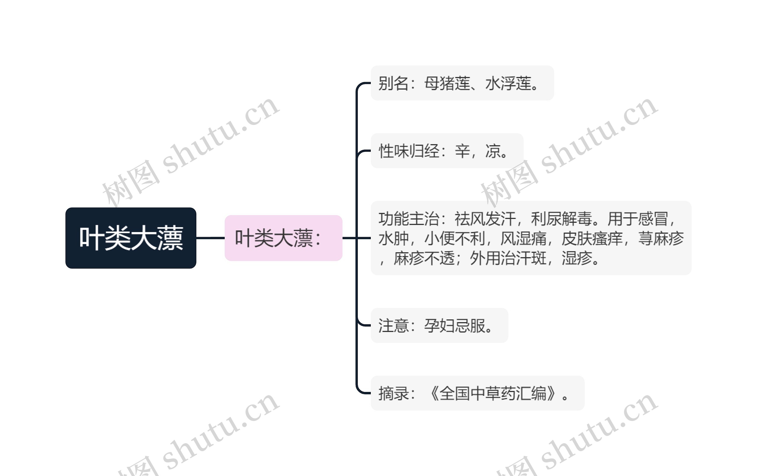 叶类大薸思维导图