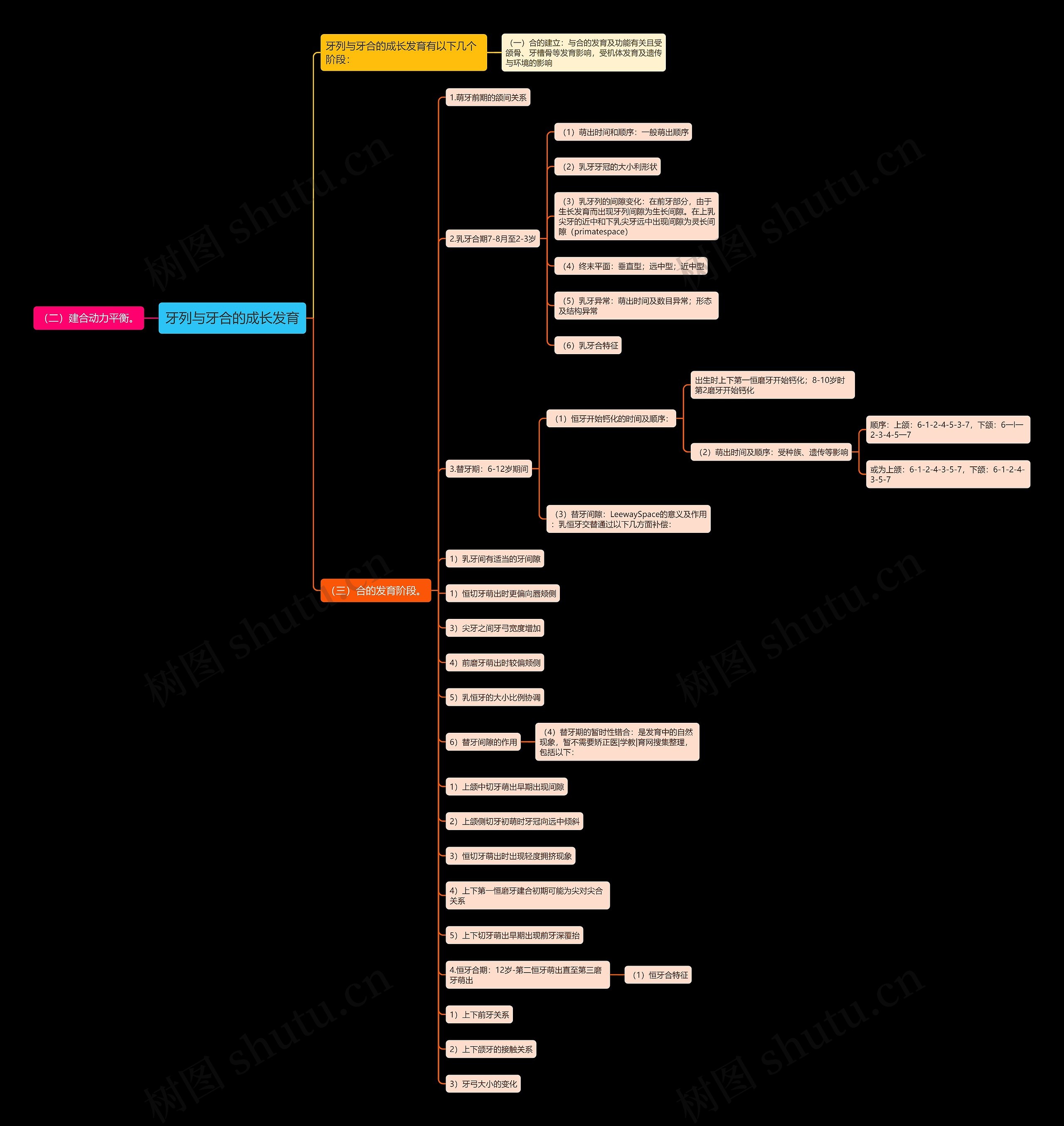 牙列与牙合的成长发育思维导图