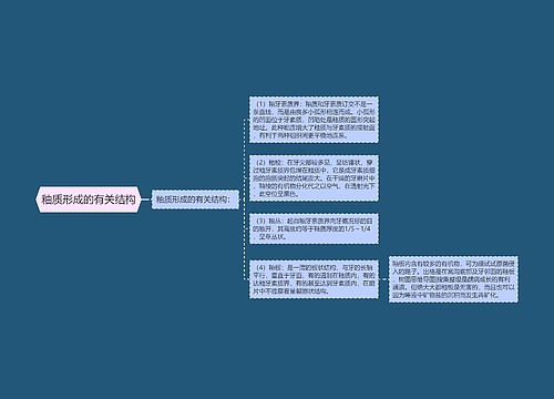 釉质形成的有关结构