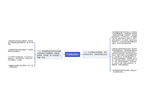 牙齿组成部分