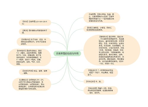 云南草蔻的功效与作用