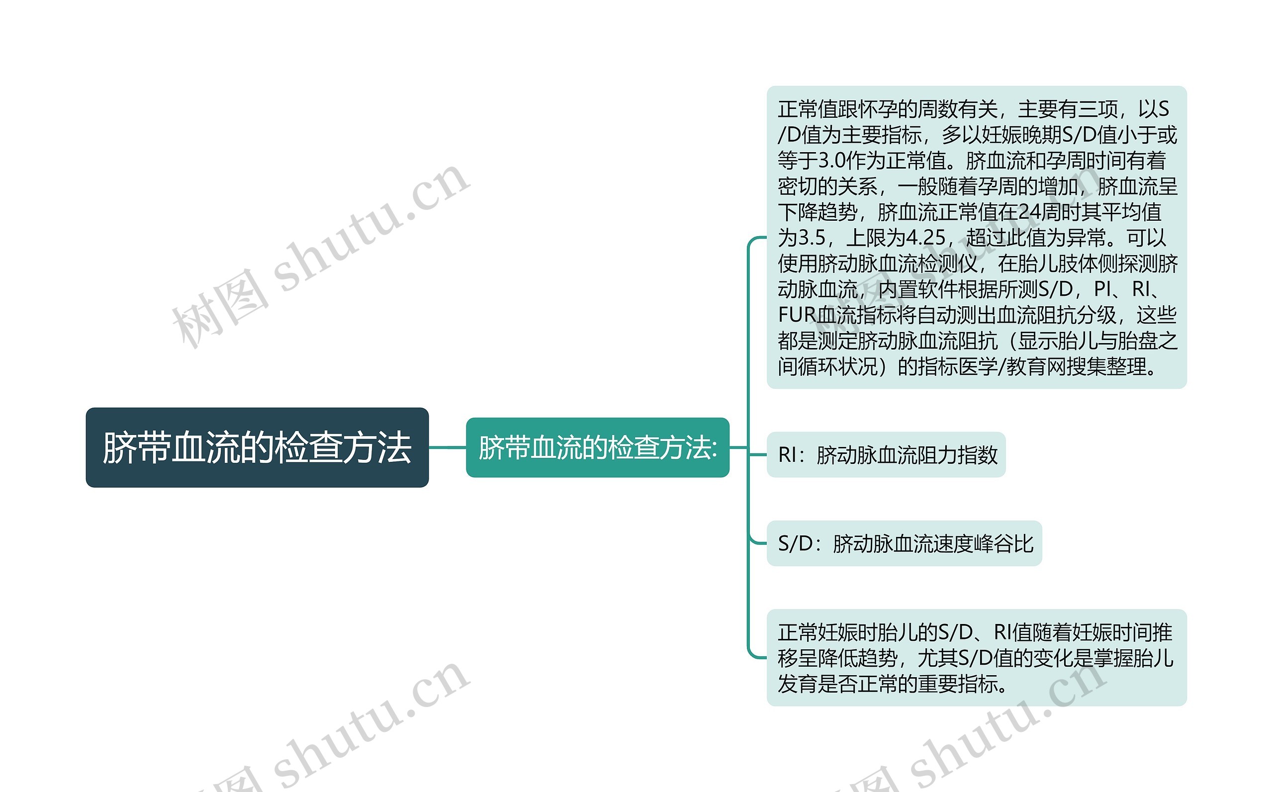 脐带血流的检查方法思维导图