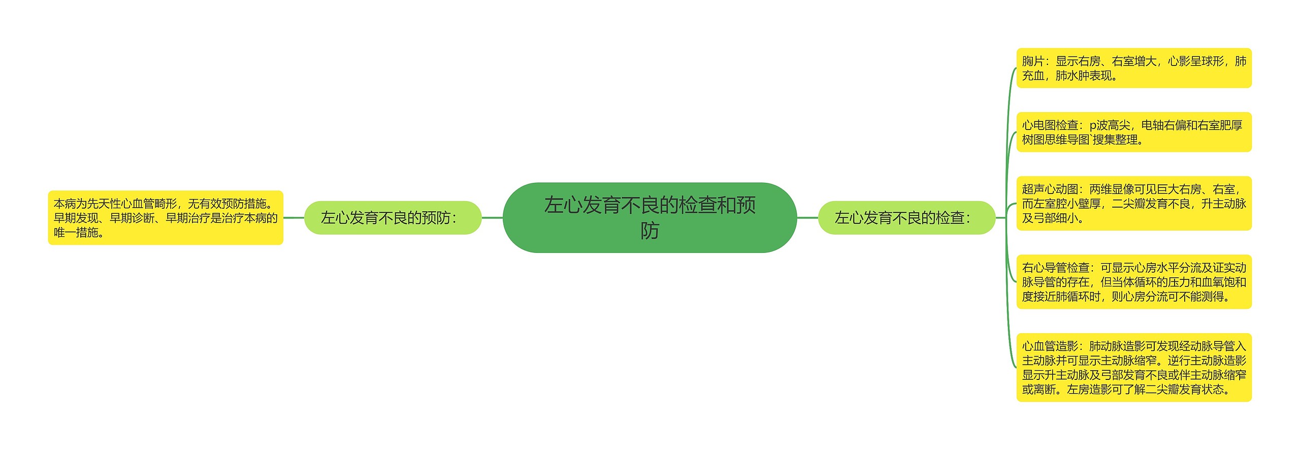 左心发育不良的检查和预防