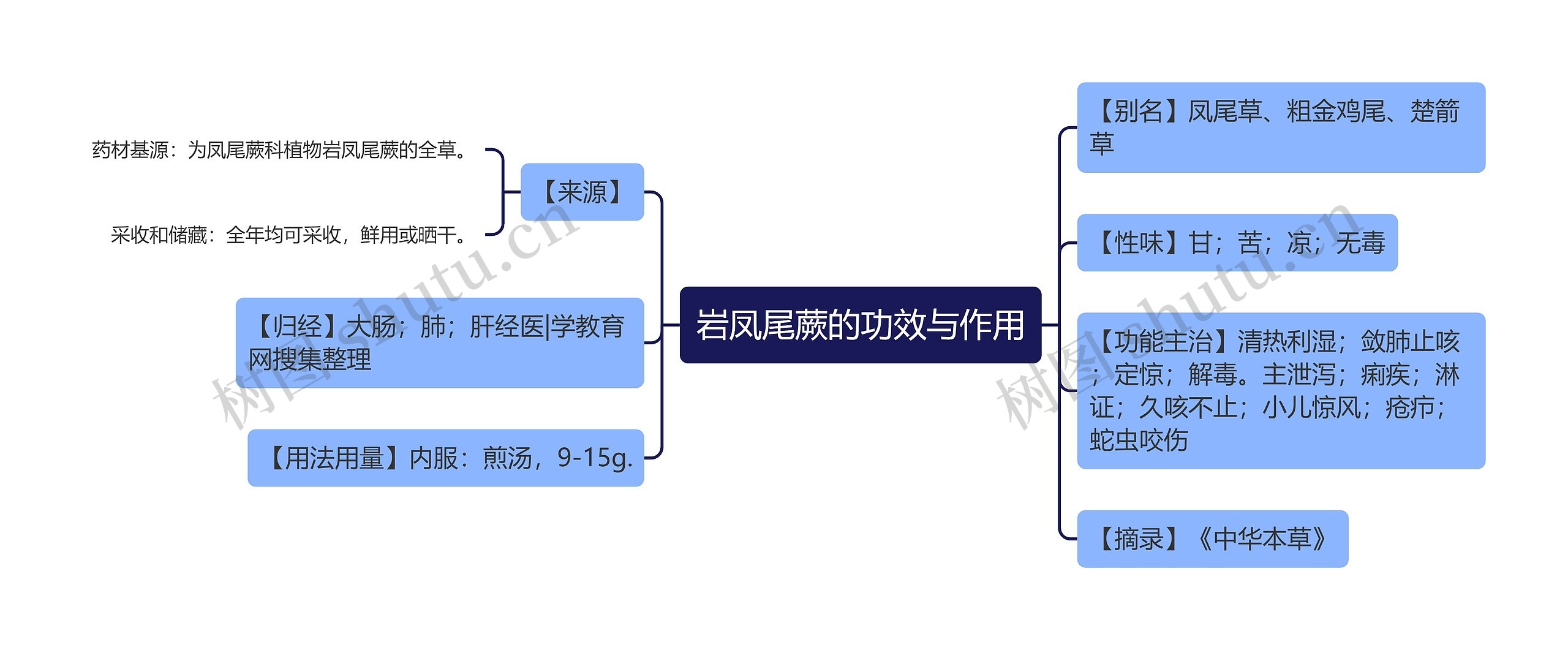 岩凤尾蕨的功效与作用思维导图