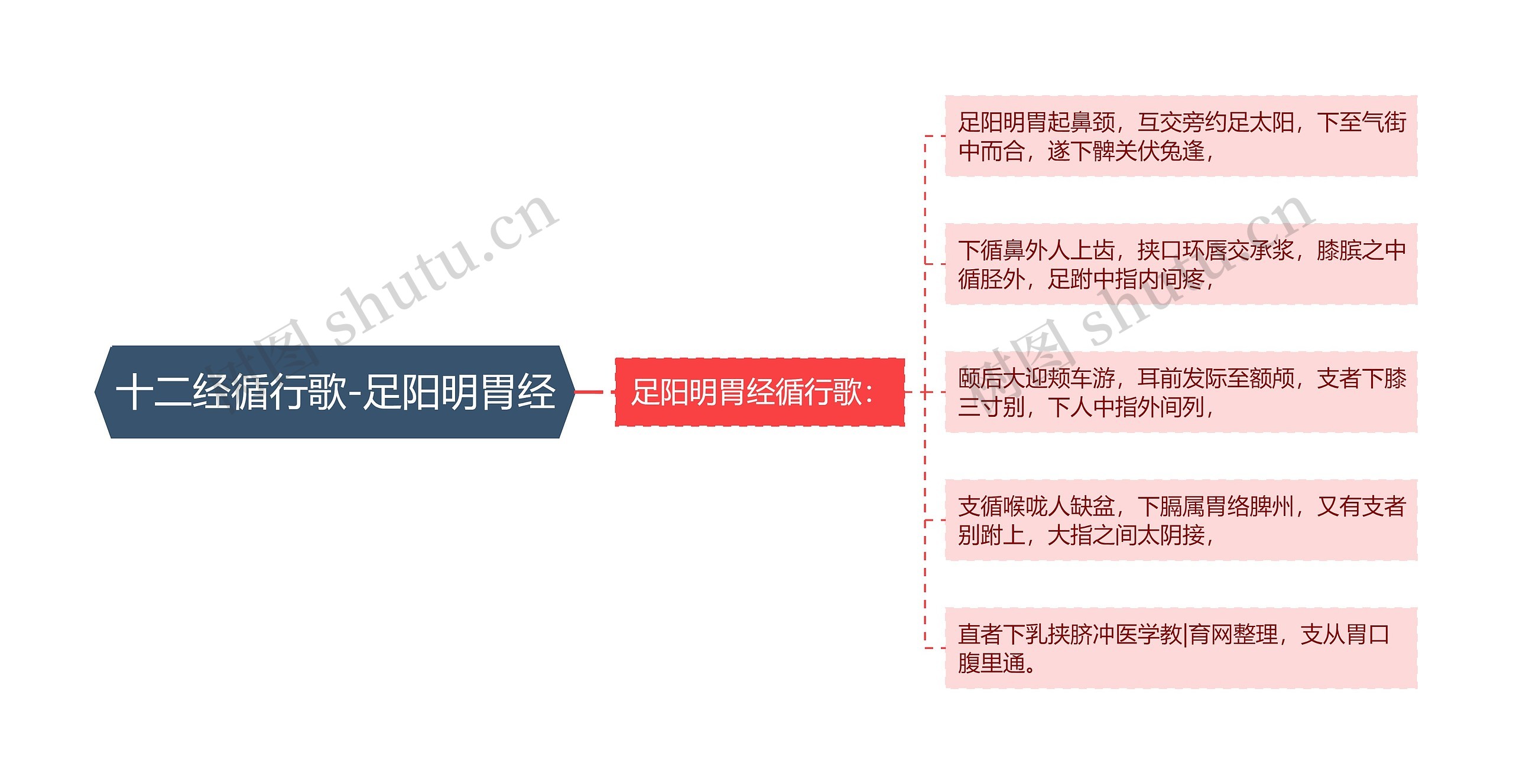 十二经循行歌-足阳明胃经思维导图