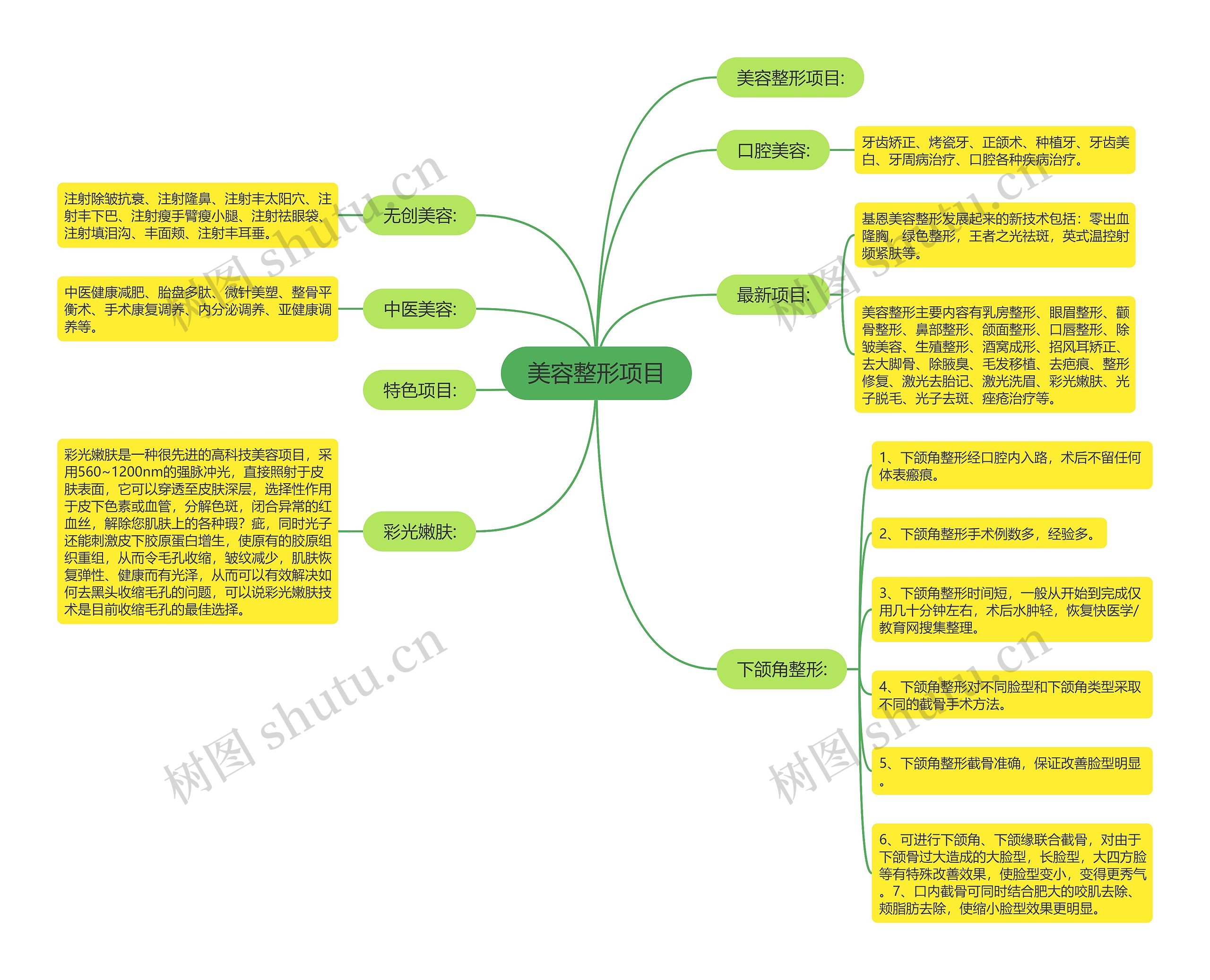 美容整形项目思维导图