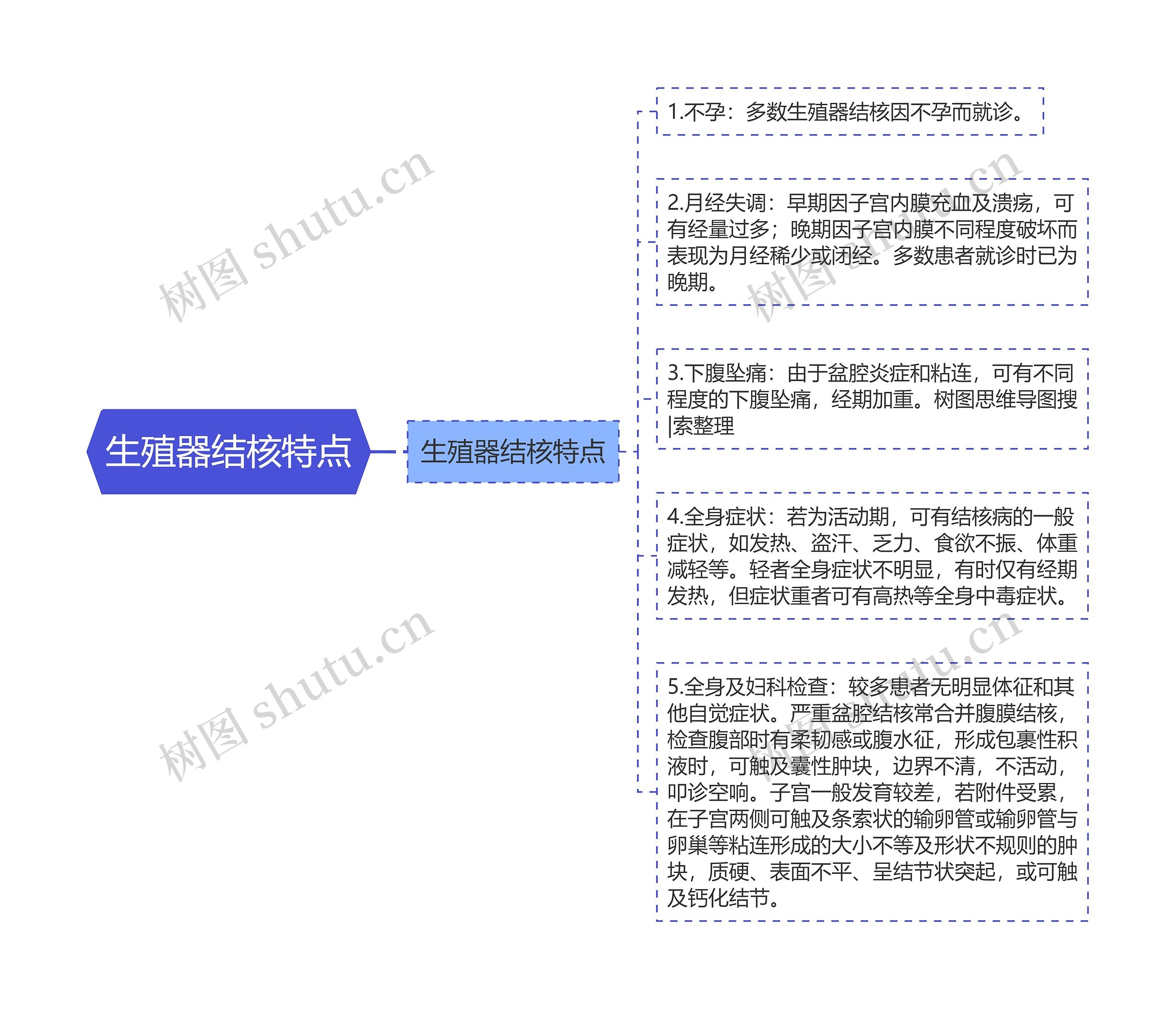 生殖器结核特点