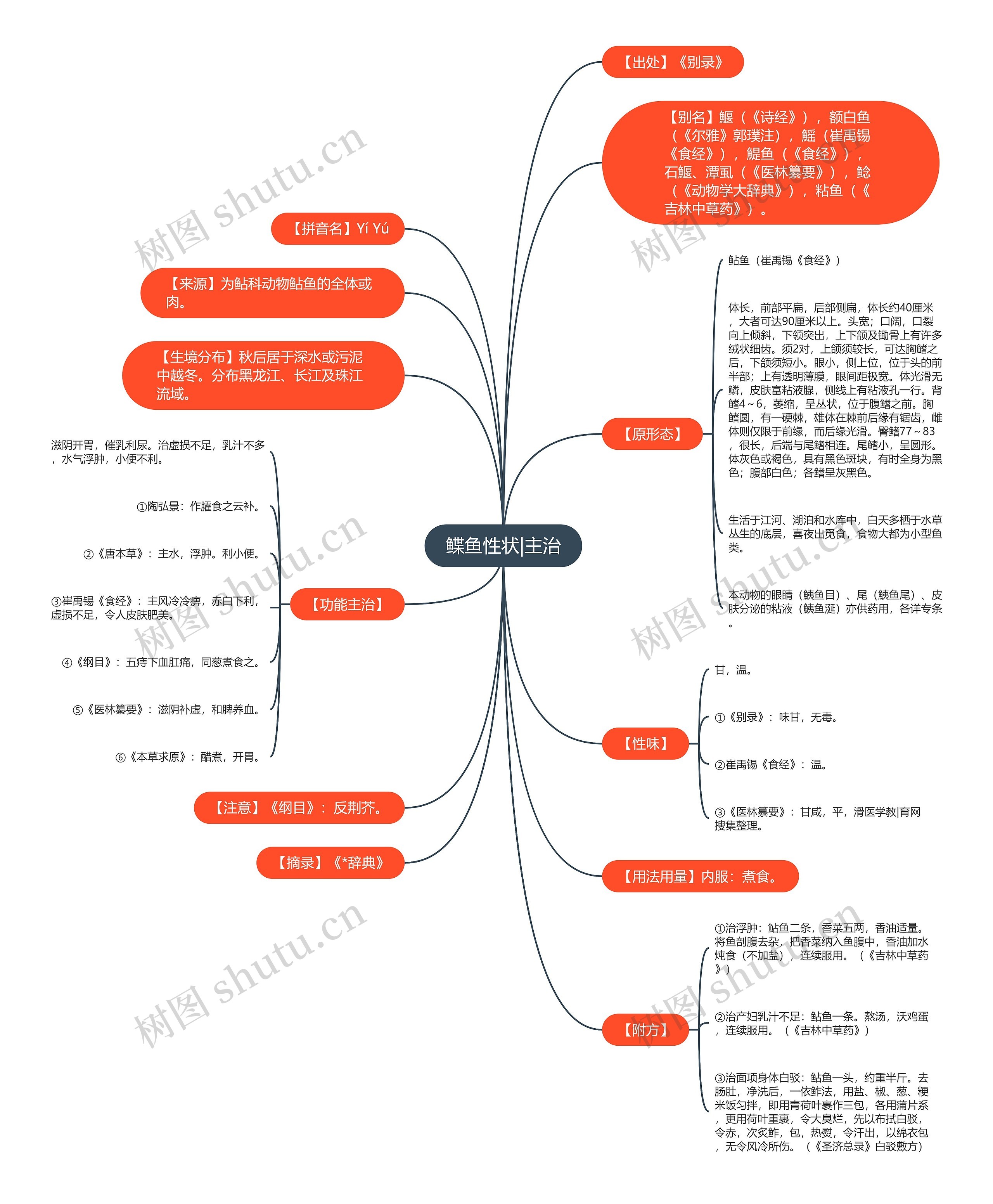 鲽鱼性状|主治思维导图