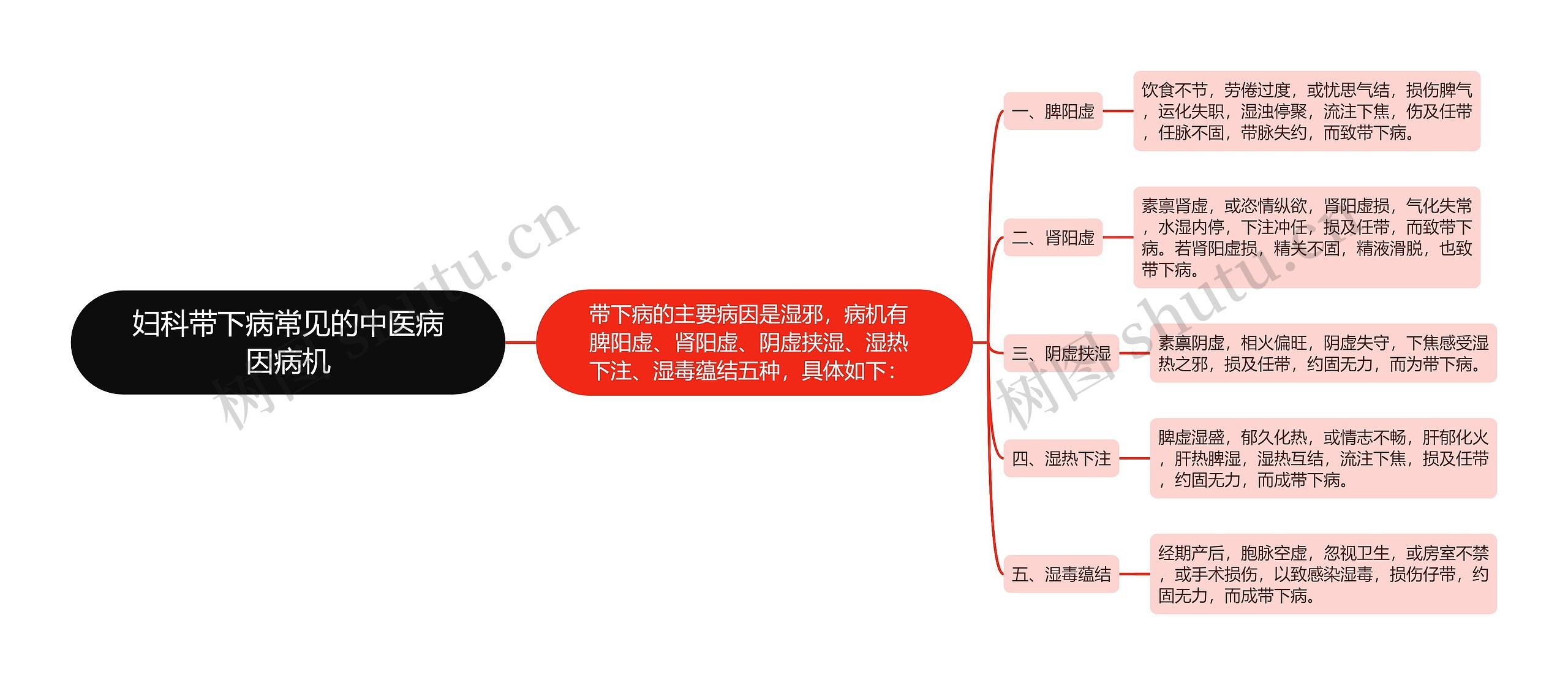 妇科带下病常见的中医病因病机思维导图