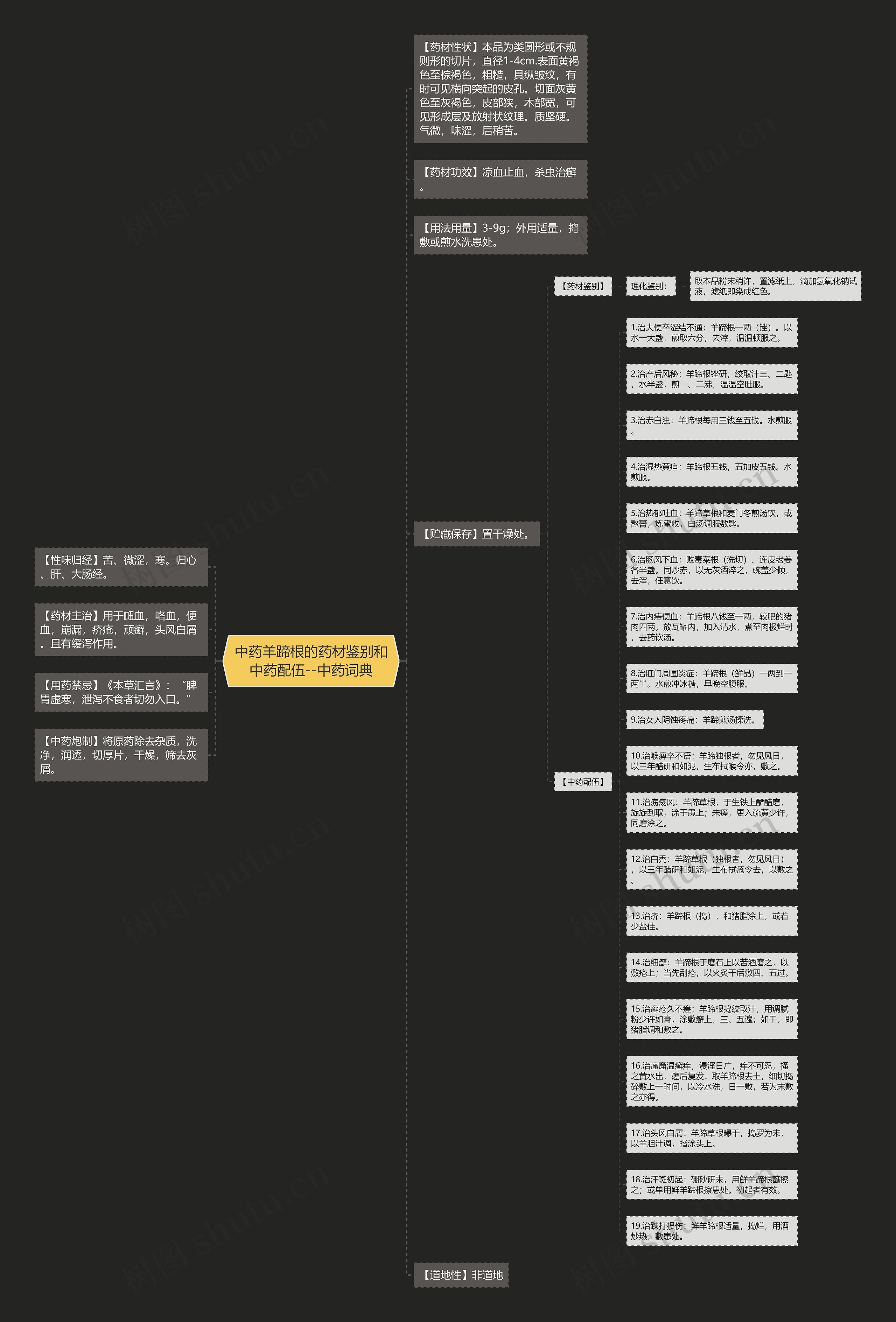 中药羊蹄根的药材鉴别和中药配伍--中药词典思维导图