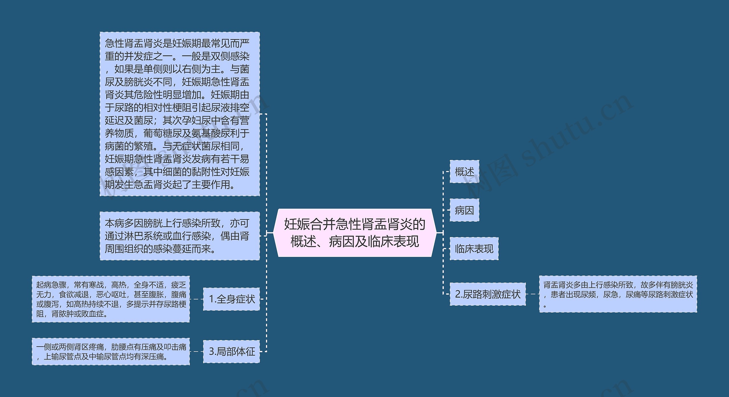 妊娠合并急性肾盂肾炎的概述、病因及临床表现 妊娠合并急性肾盂肾炎的概述、病因及临床表现