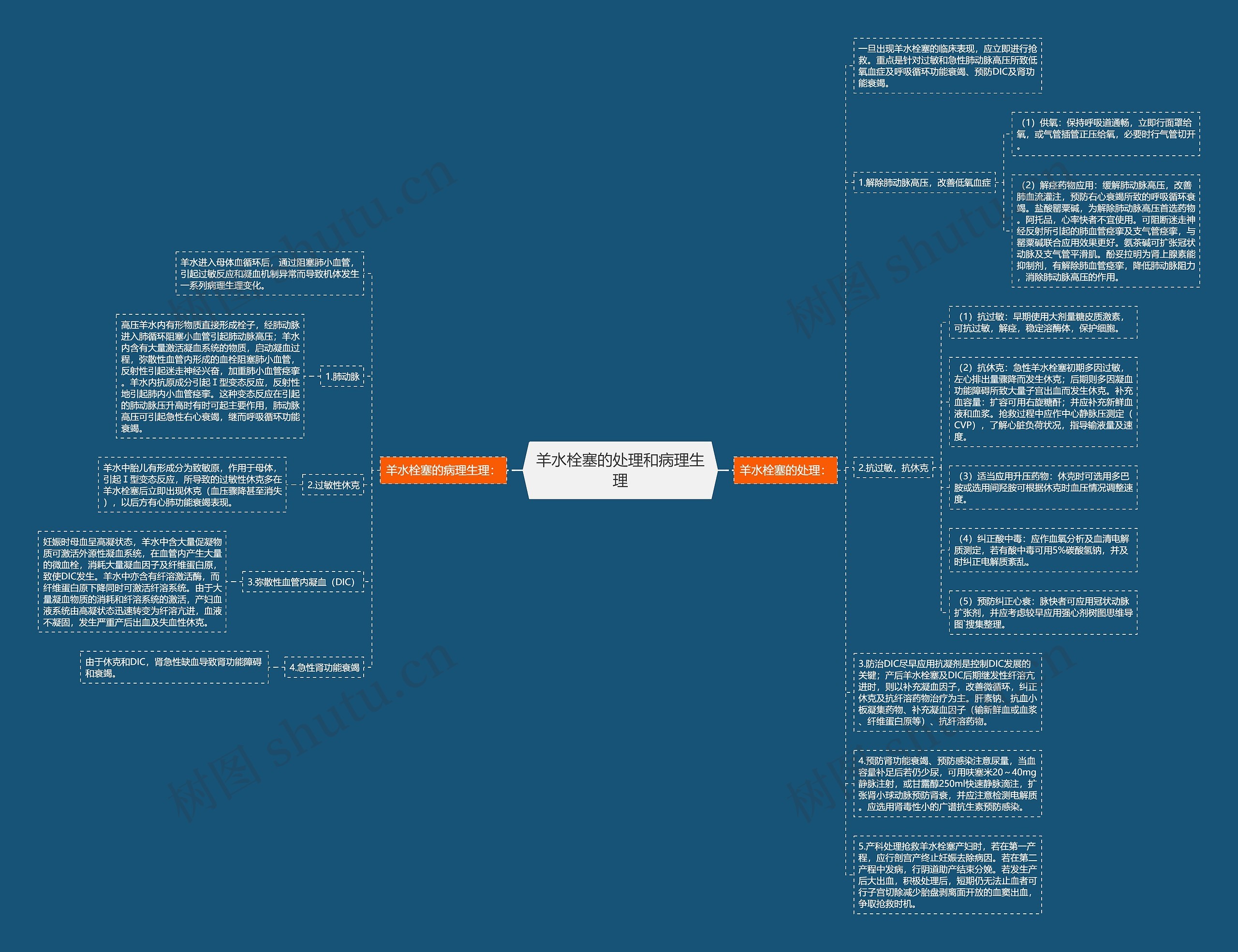 羊水栓塞的处理和病理生理思维导图