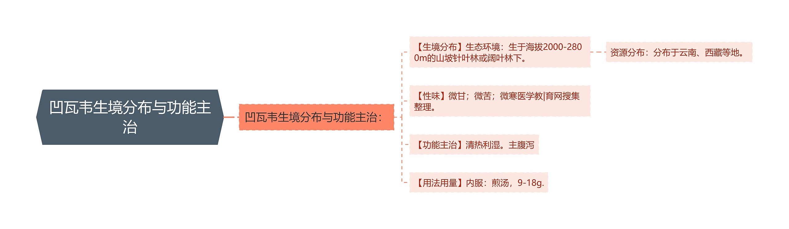 凹瓦韦生境分布与功能主治思维导图