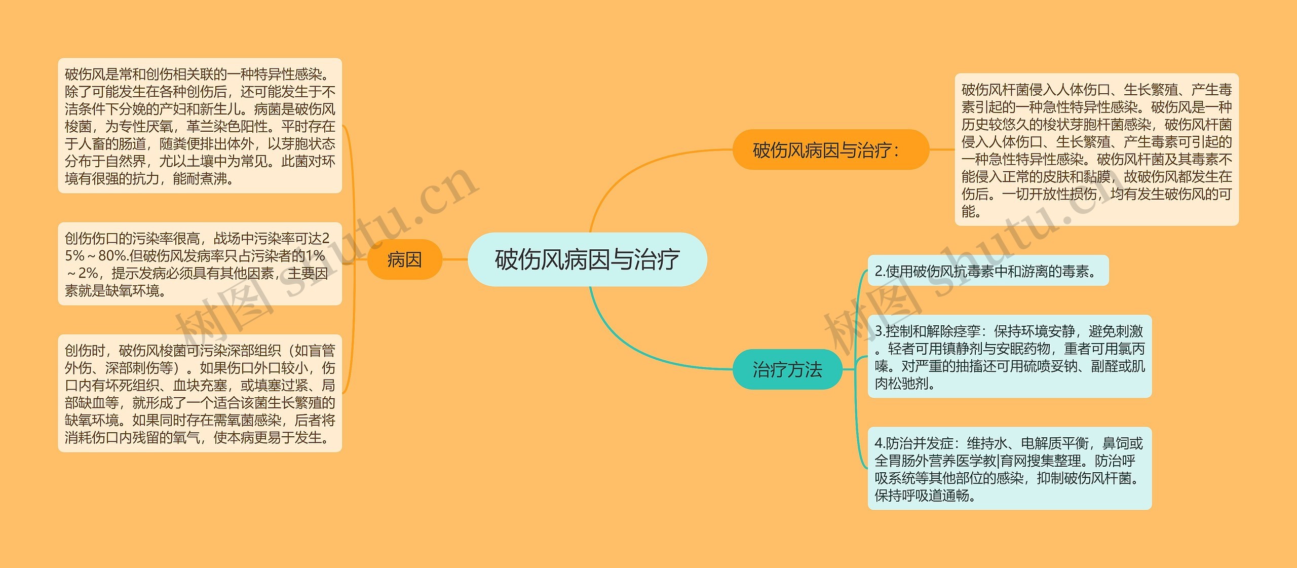 破伤风病因与治疗思维导图