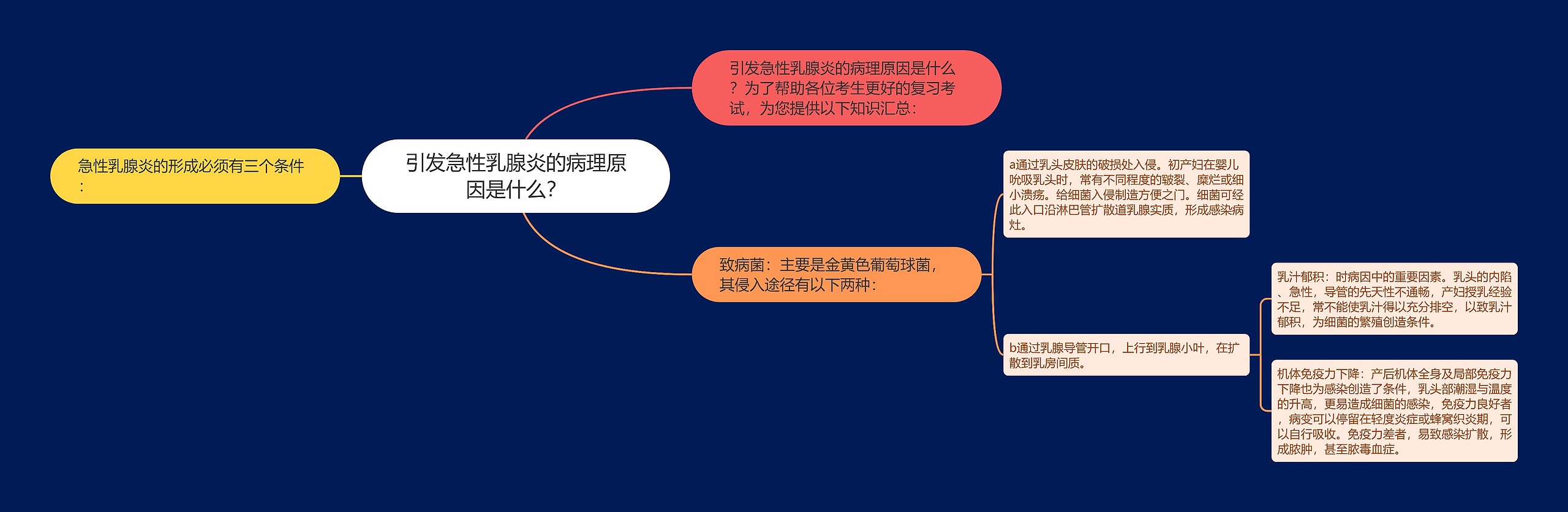 引发急性乳腺炎的病理原因是什么？思维导图