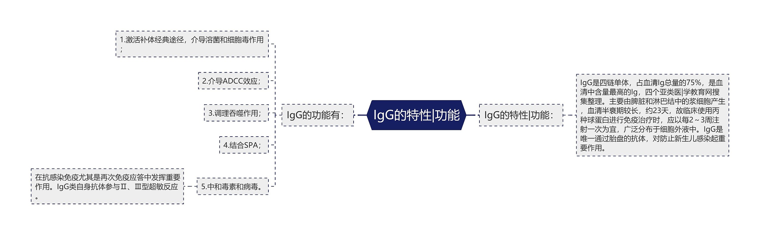 IgG的特性|功能