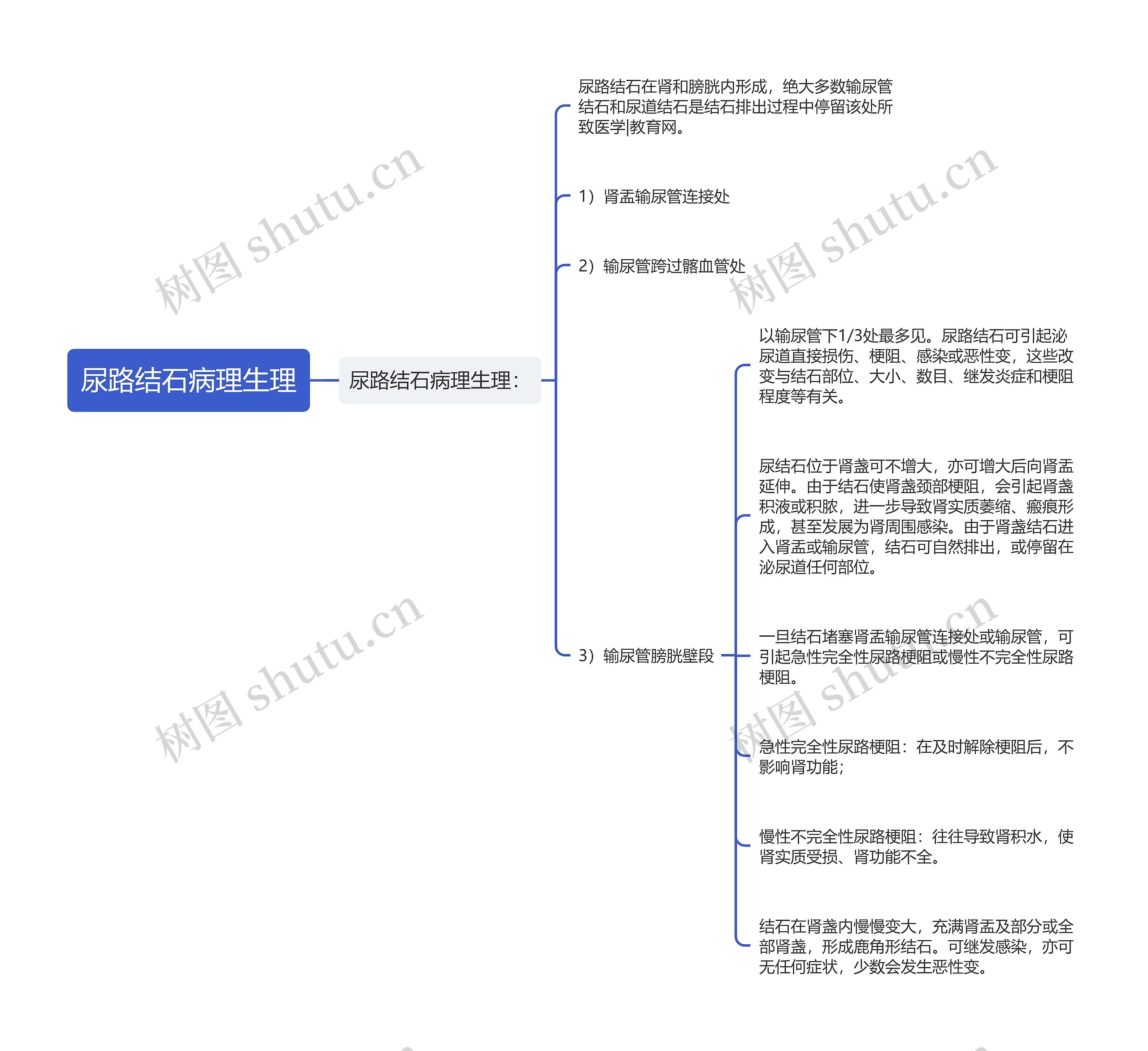 尿路结石病理生理