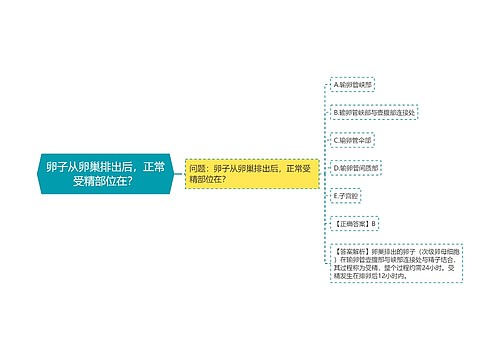 卵子从卵巢排出后，正常受精部位在？