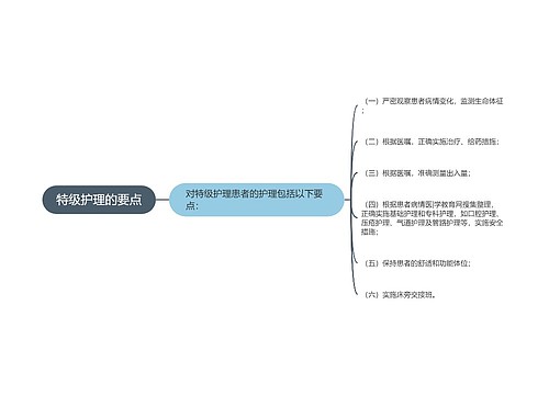 特级护理的要点