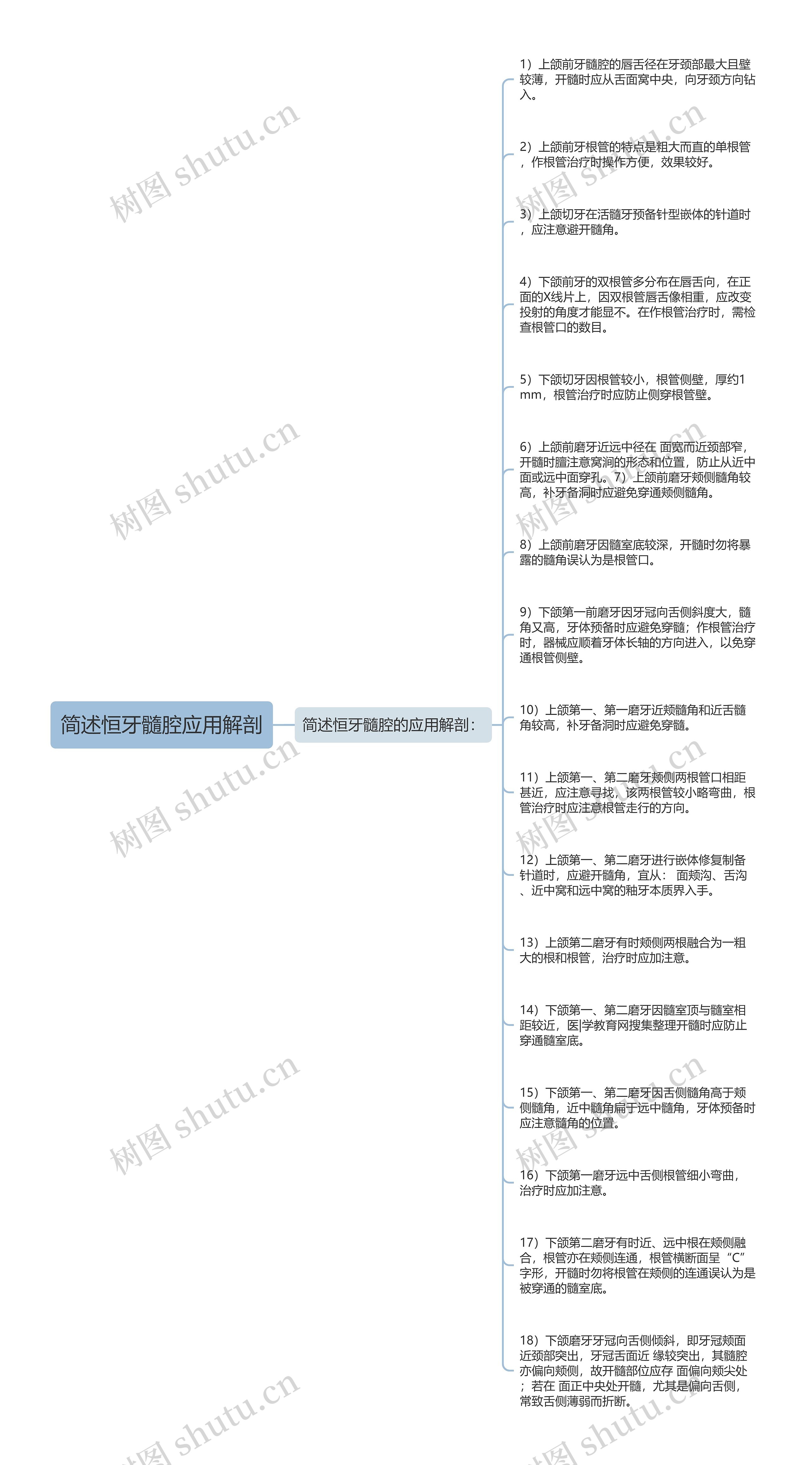 简述恒牙髓腔应用解剖思维导图