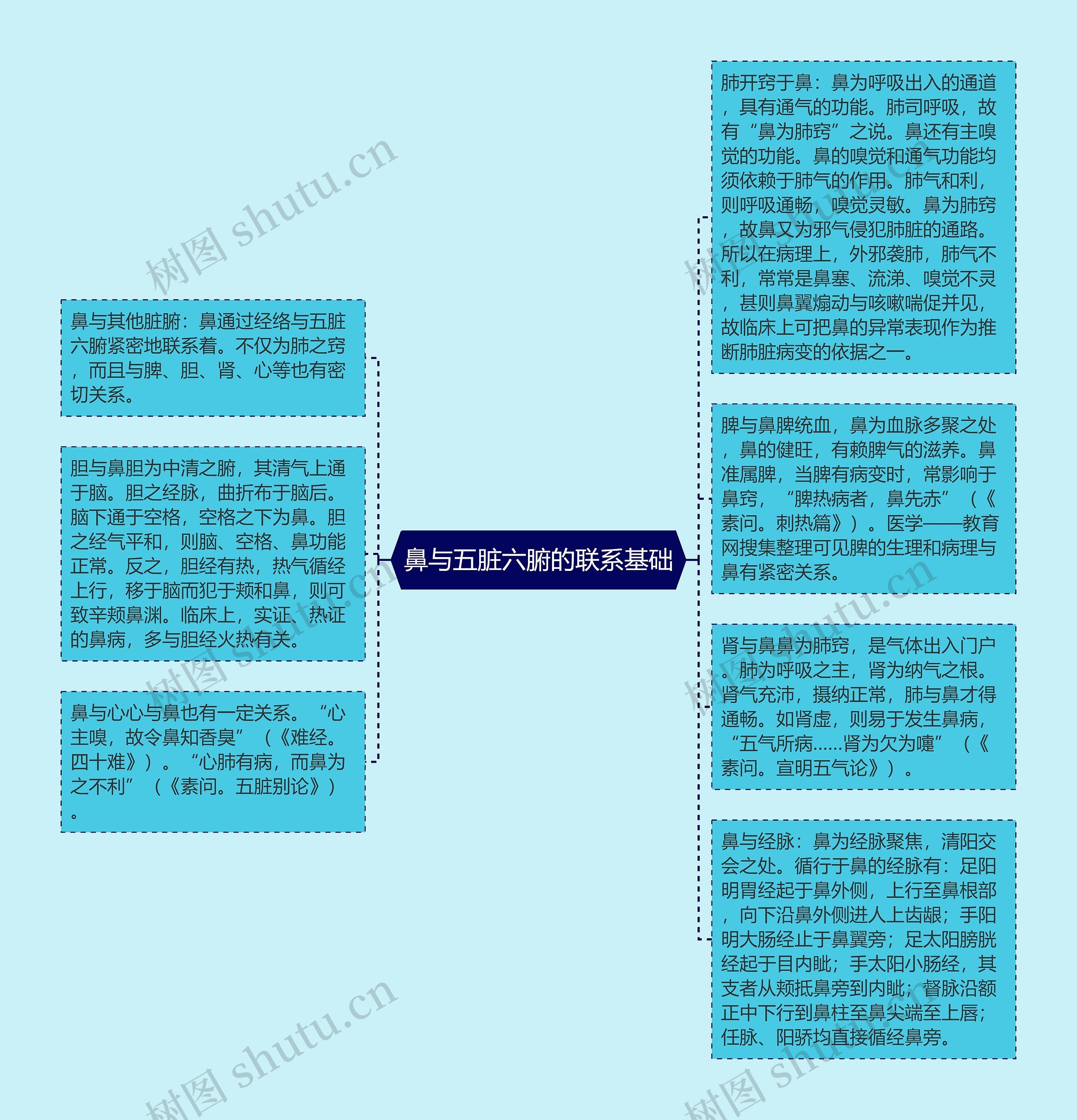 鼻与五脏六腑的联系基础
