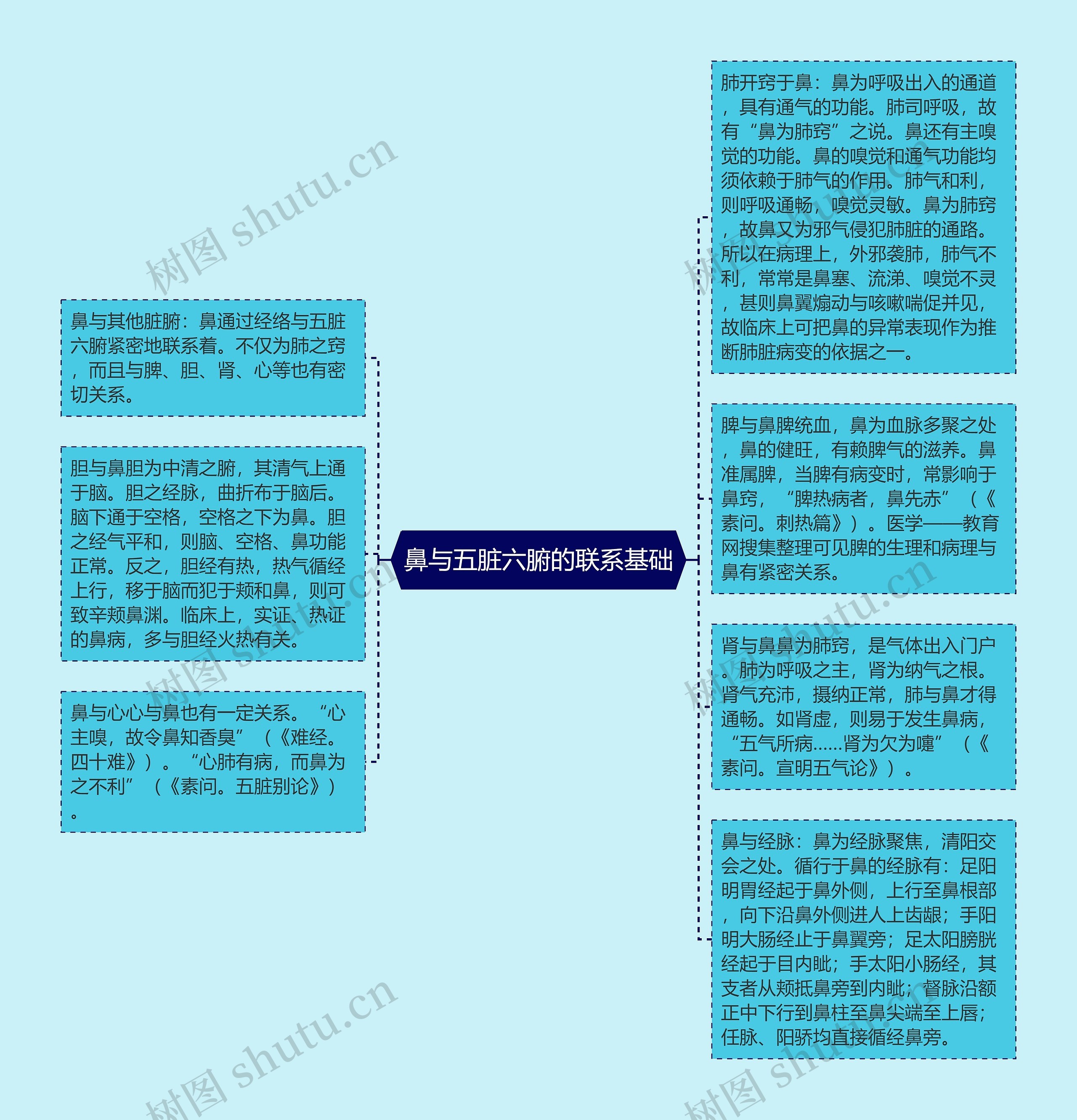 鼻与五脏六腑的联系基础