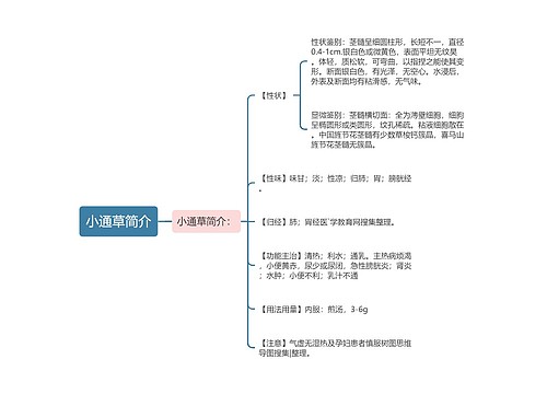 小通草简介