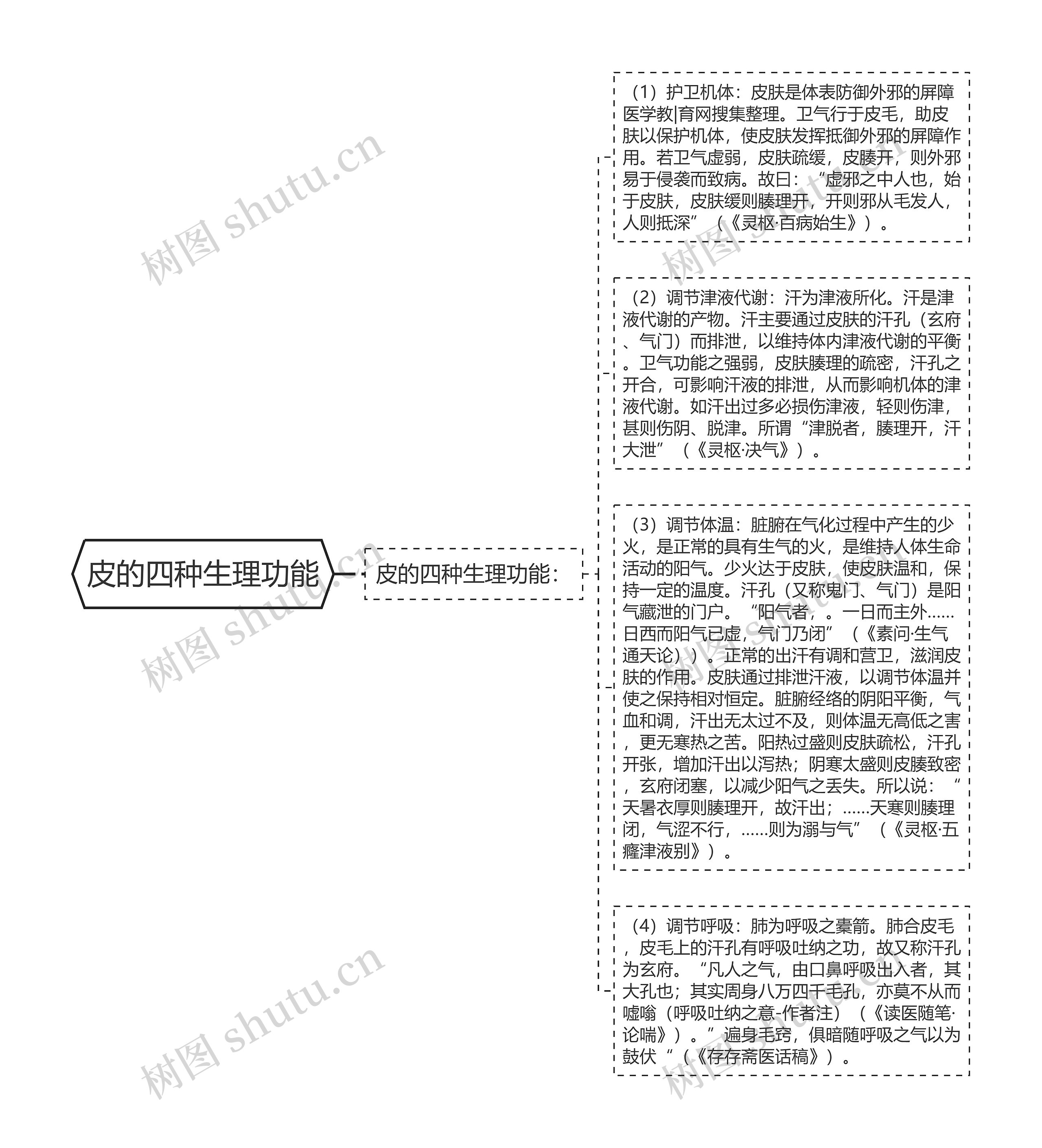 皮的四种生理功能