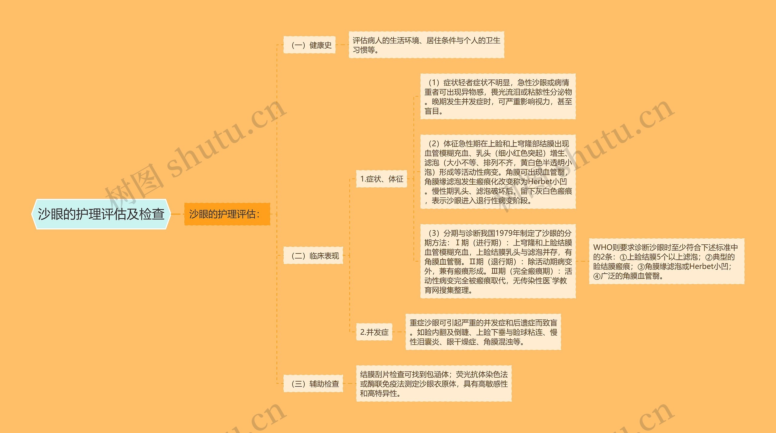 沙眼的护理评估及检查思维导图