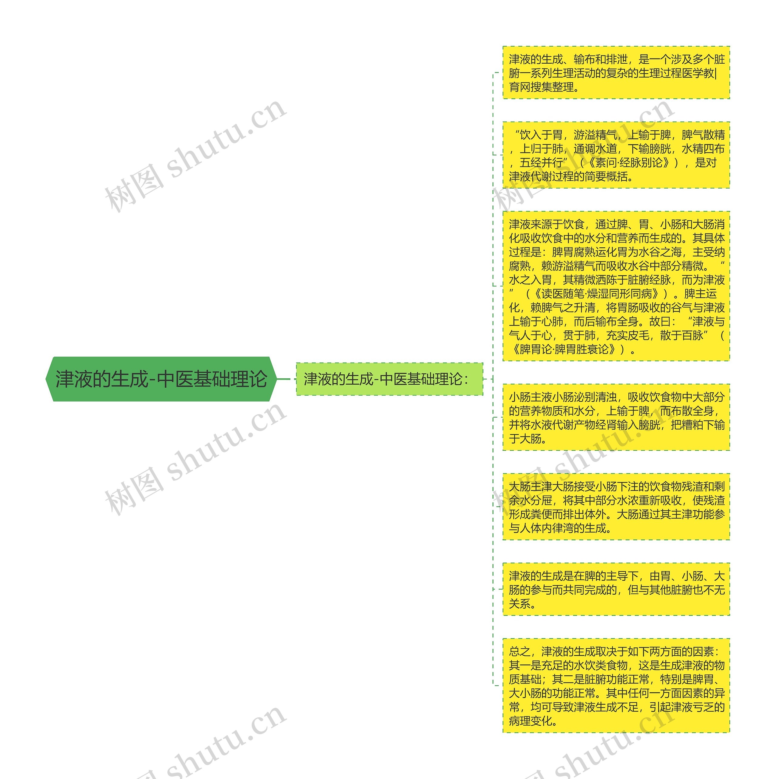 津液的生成-中医基础理论思维导图