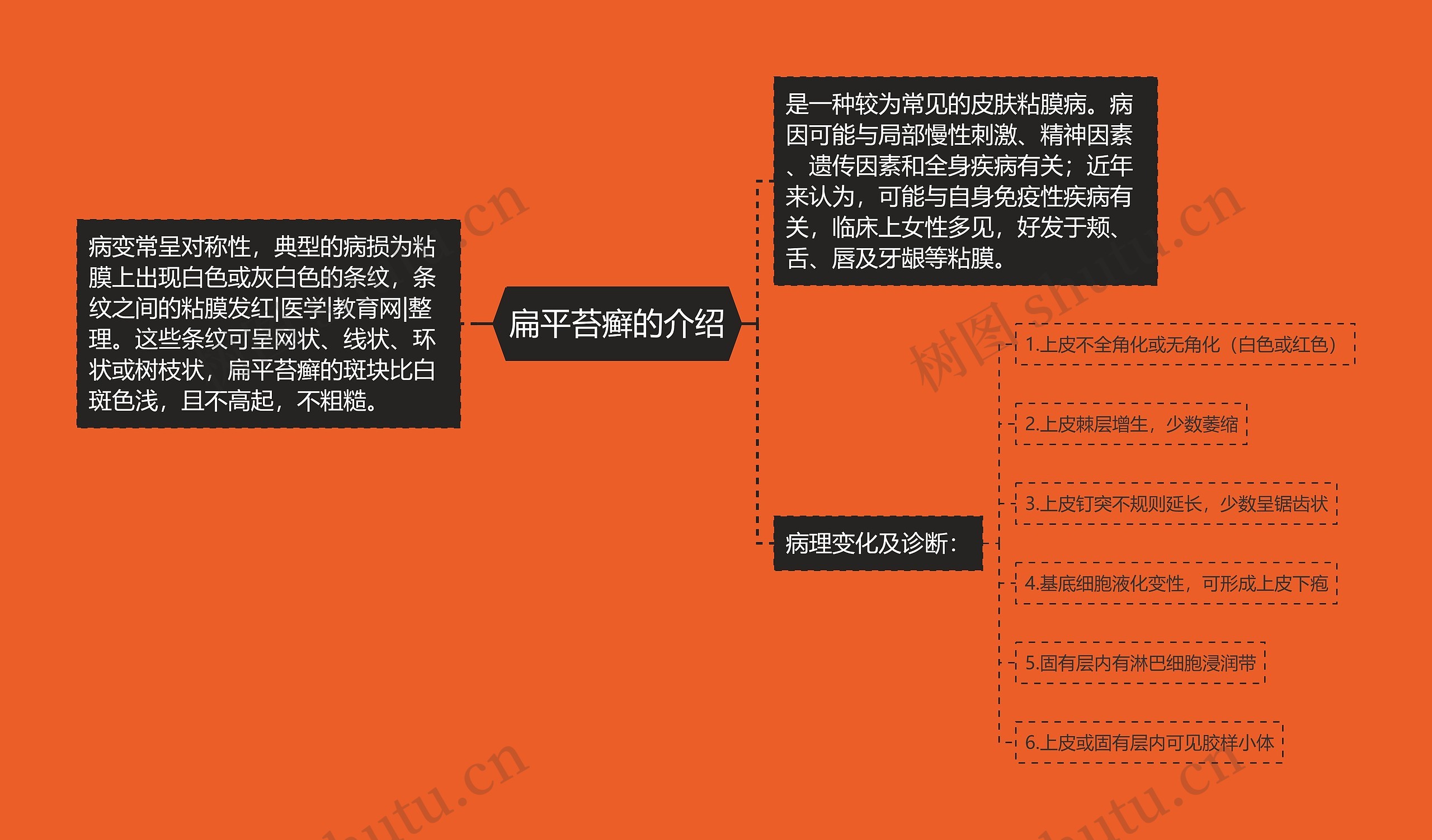 扁平苔癣的介绍