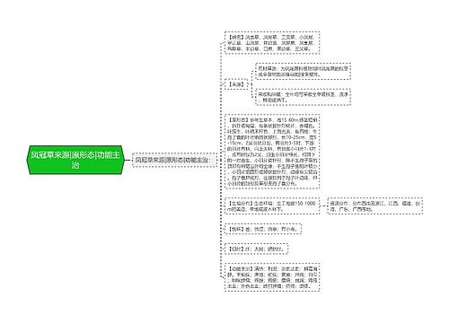 凤冠草来源|原形态|功能主治