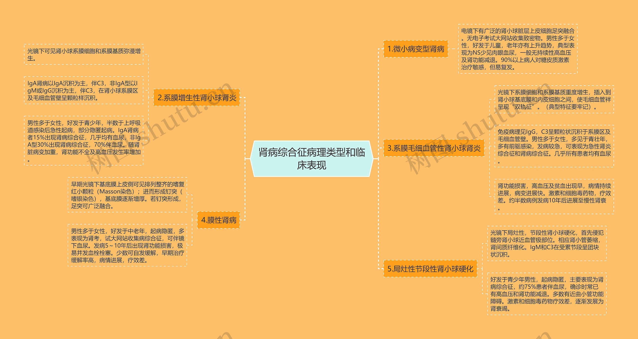 肾病综合征病理类型和临床表现思维导图